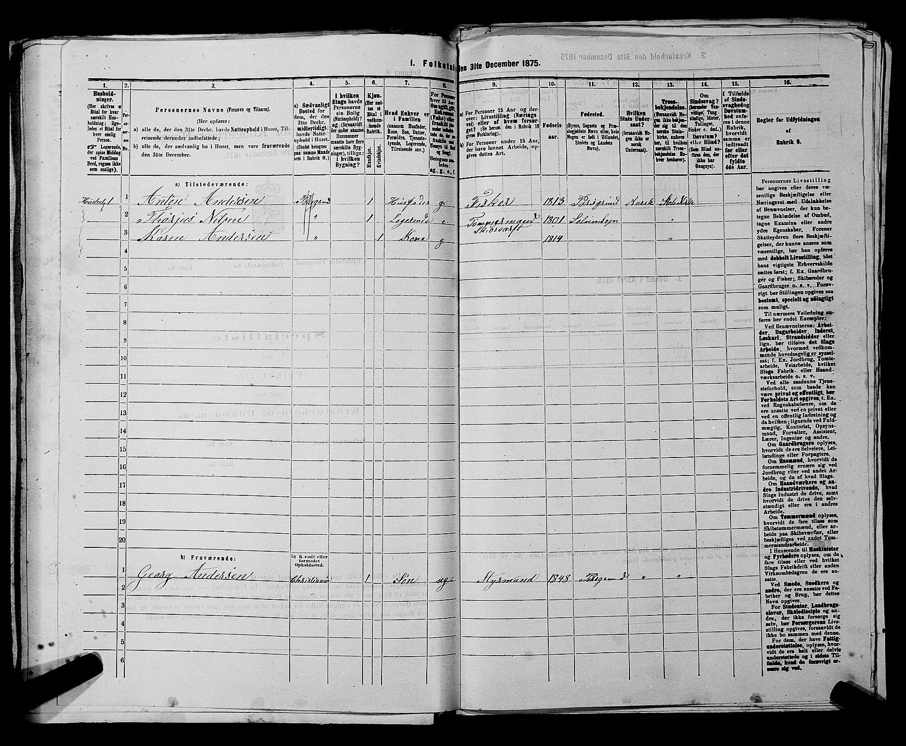 SAKO, 1875 census for 0805P Porsgrunn, 1875, p. 477