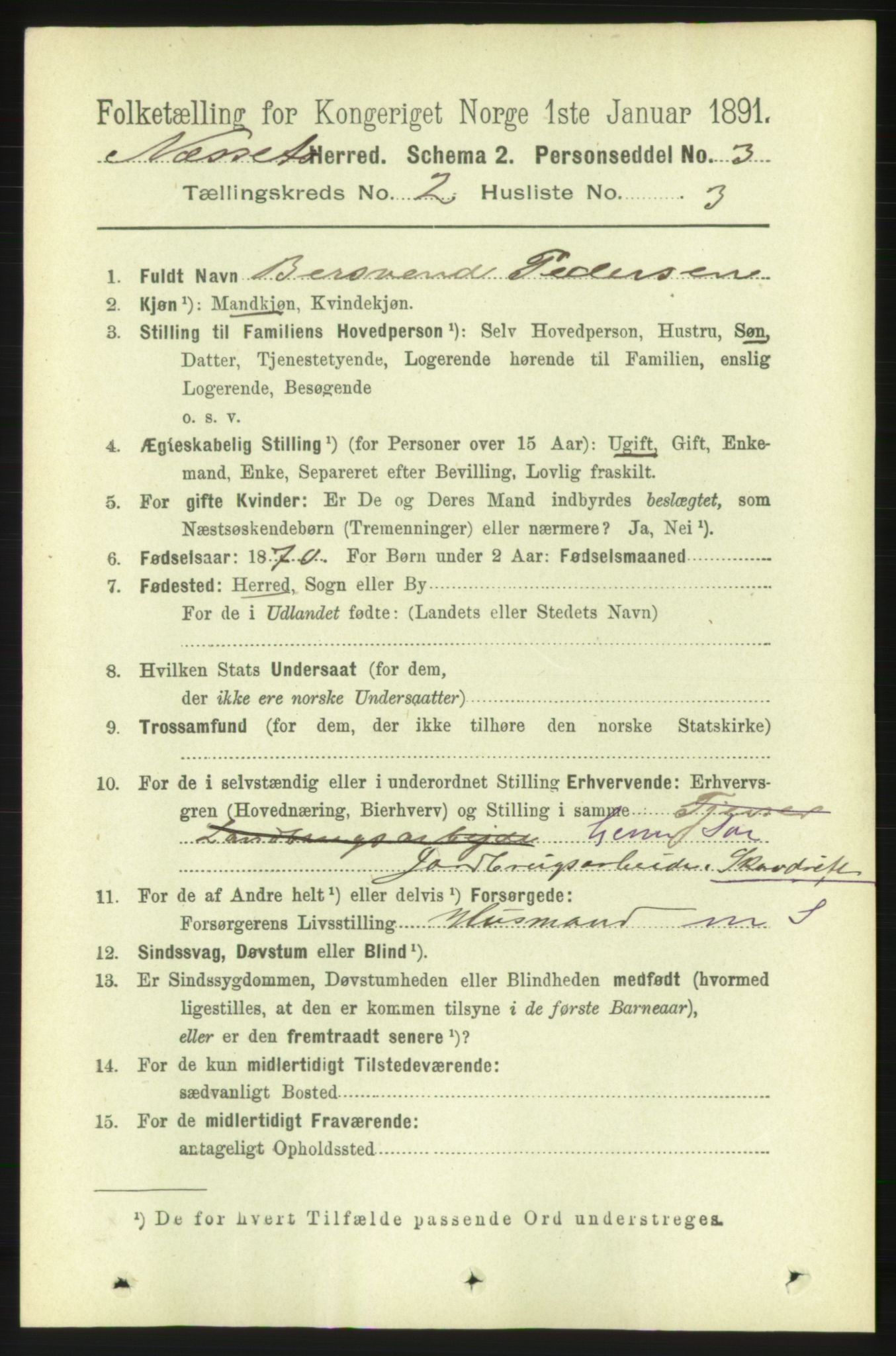 RA, 1891 census for 1543 Nesset, 1891, p. 646