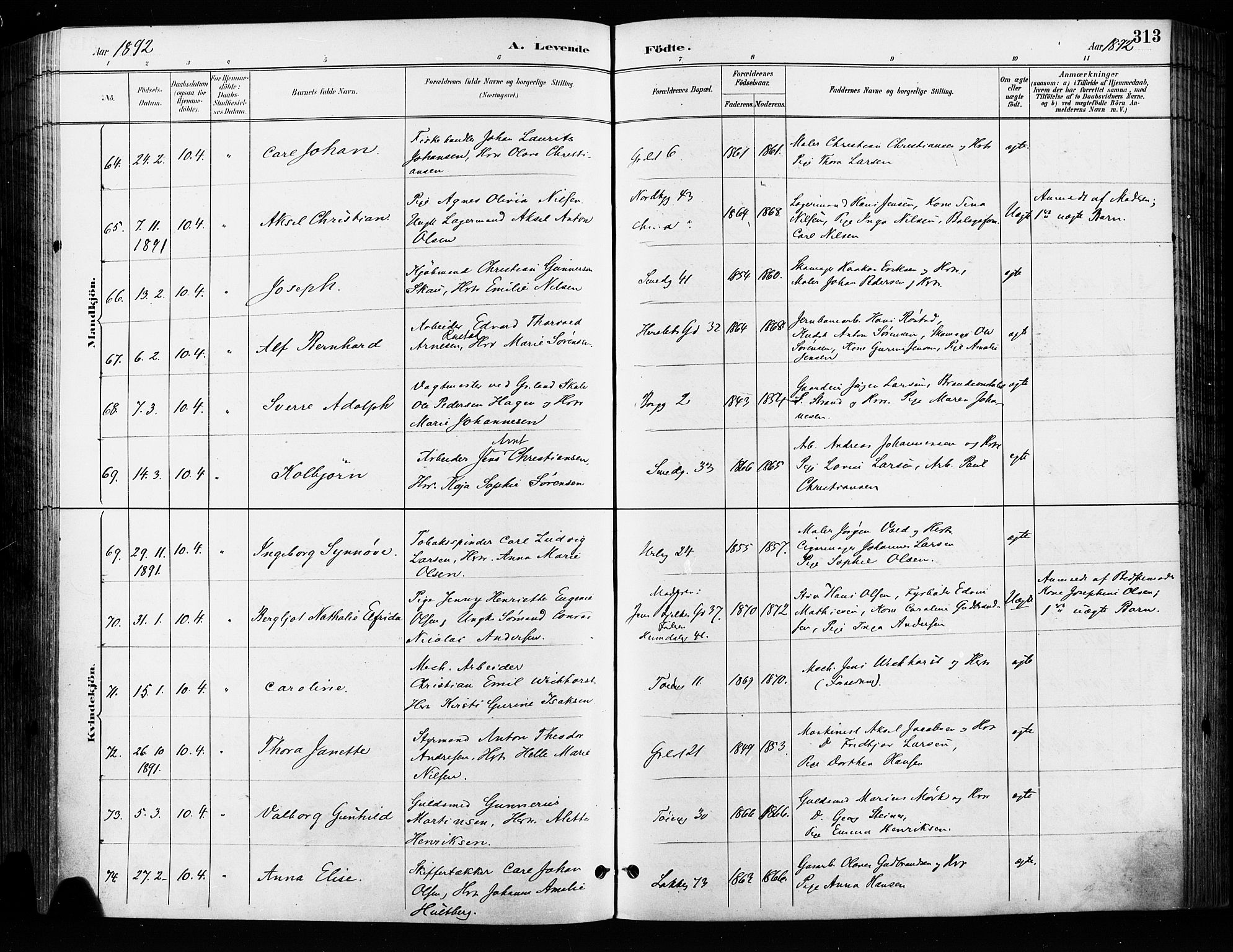 Grønland prestekontor Kirkebøker, SAO/A-10848/F/Fa/L0009: Parish register (official) no. 9, 1888-1893, p. 313
