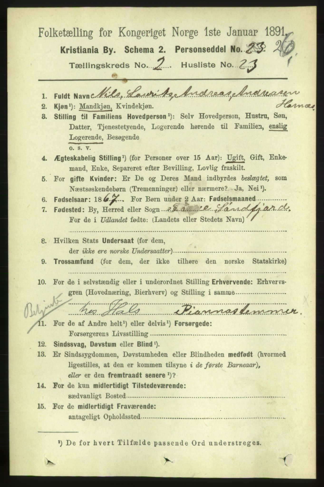 RA, 1891 census for 0301 Kristiania, 1891, p. 876