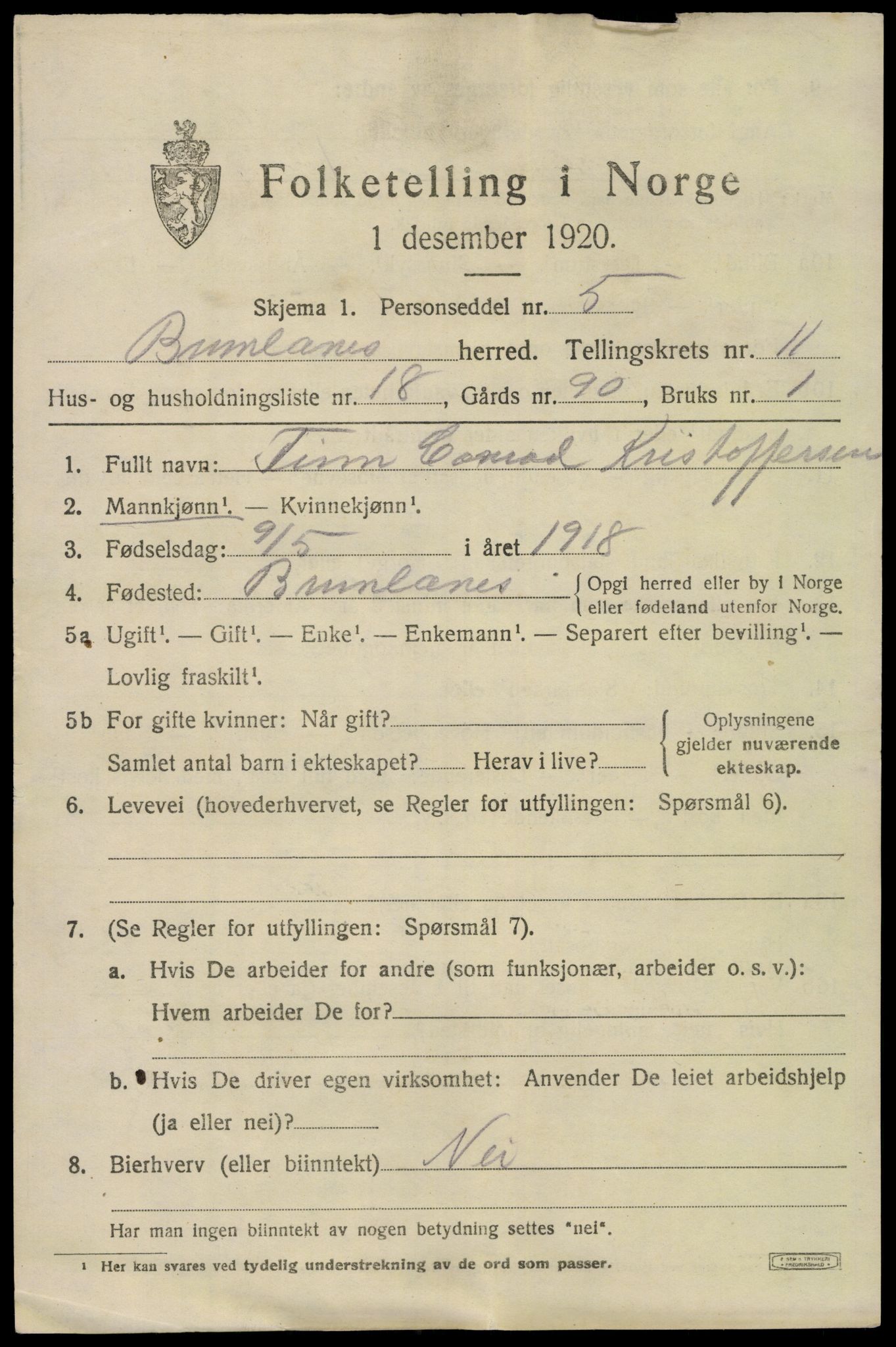 SAKO, 1920 census for Brunlanes, 1920, p. 9741