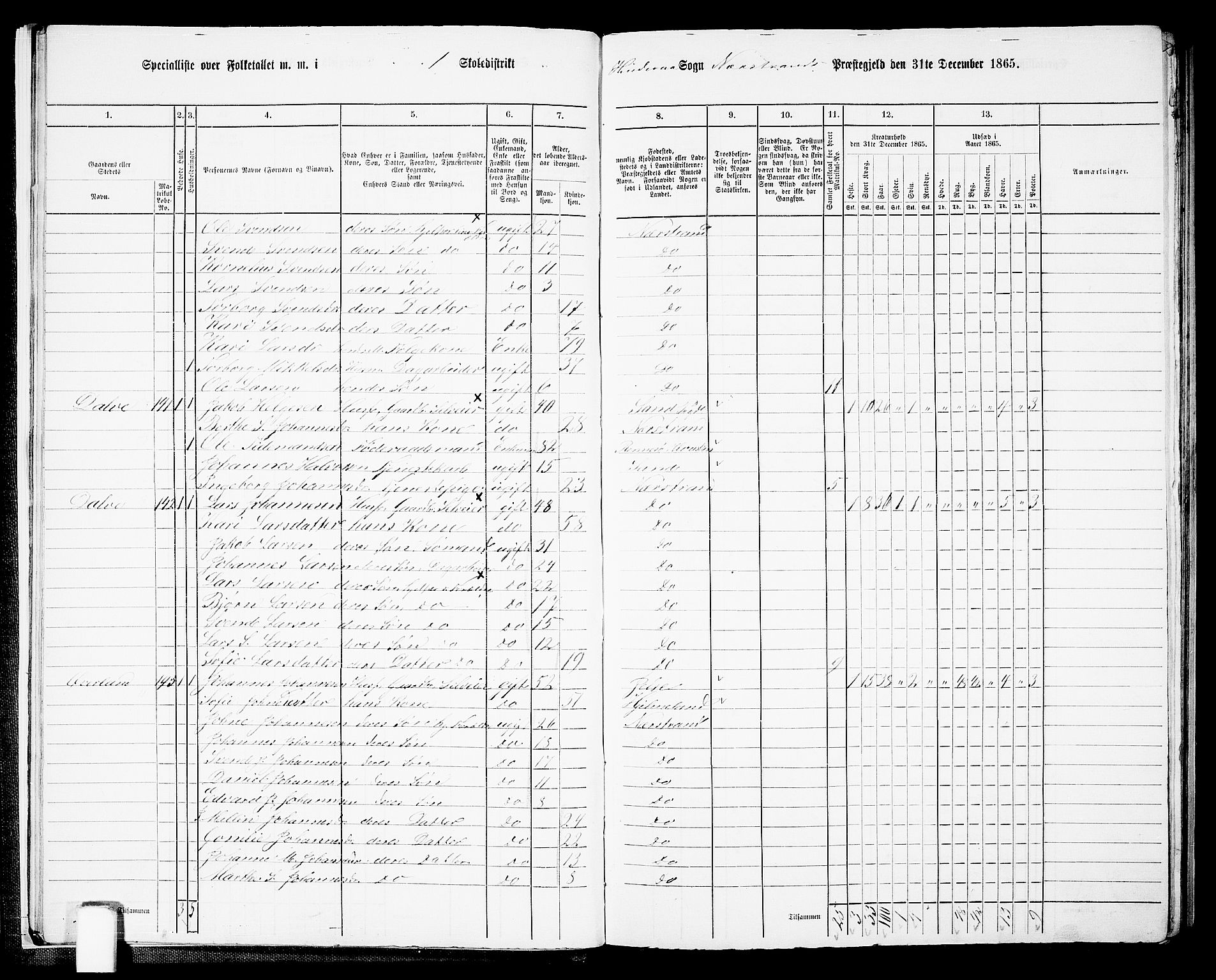 RA, 1865 census for Nedstrand, 1865, p. 15