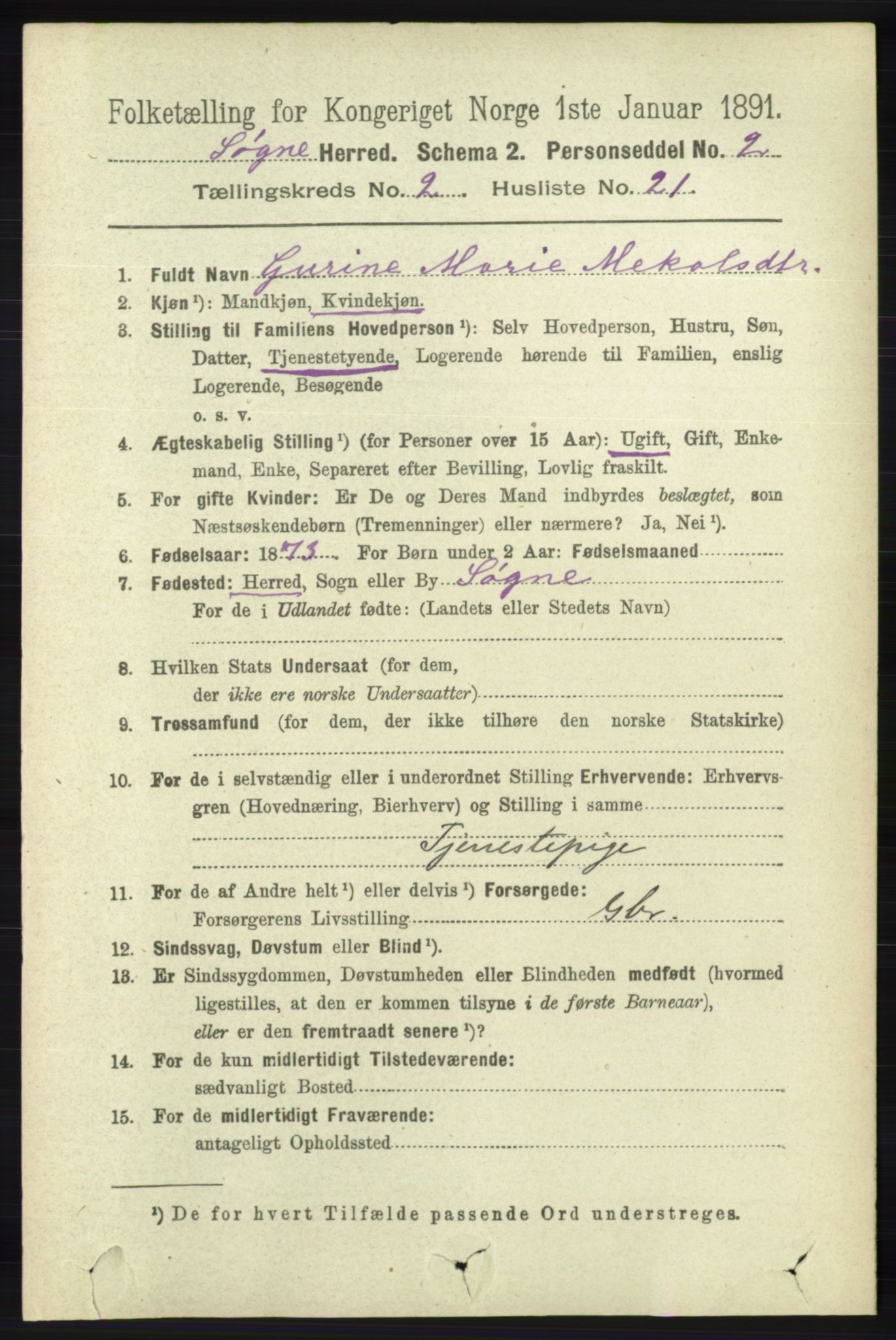 RA, 1891 census for 1018 Søgne, 1891, p. 262