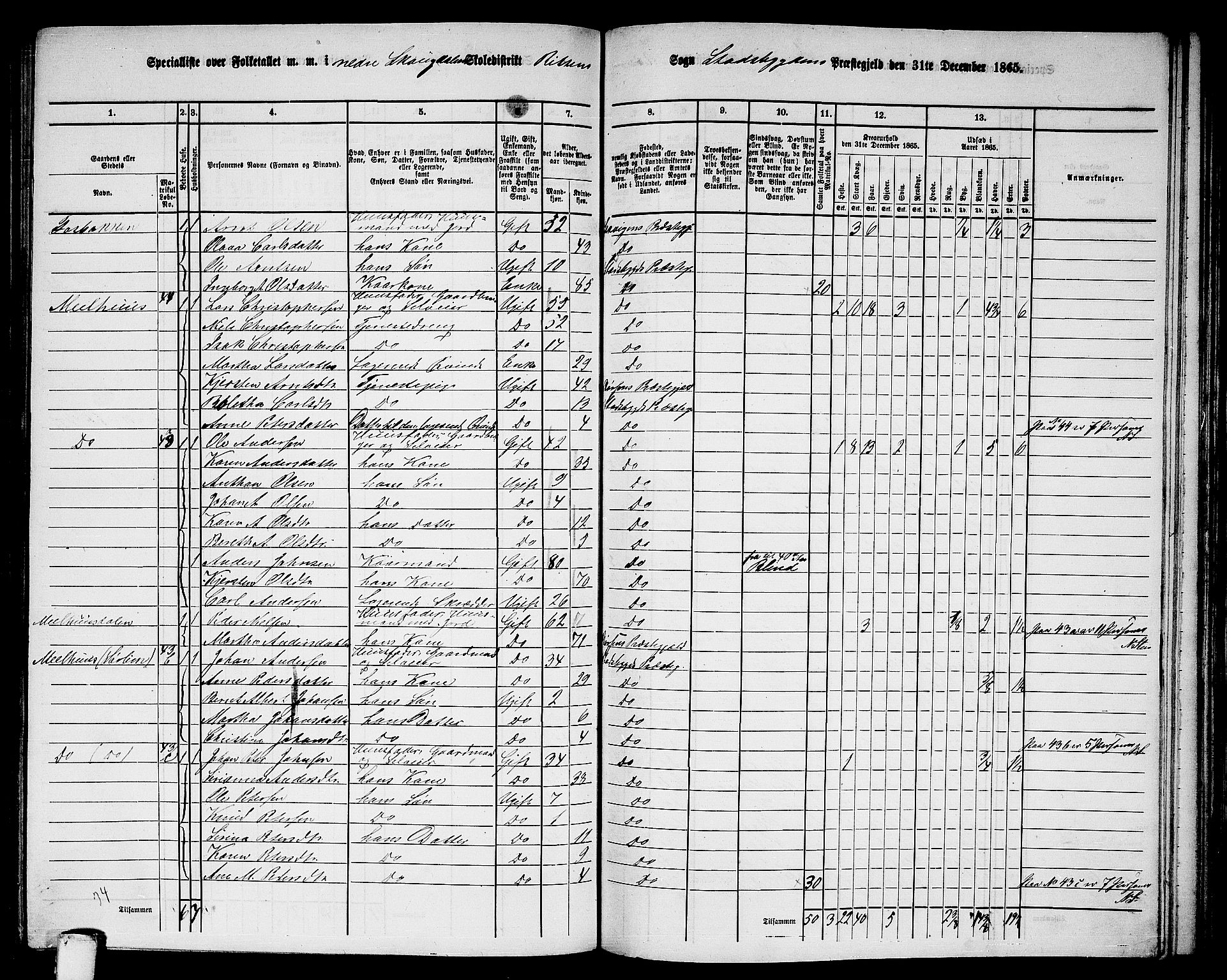 RA, 1865 census for Stadsbygd, 1865, p. 141