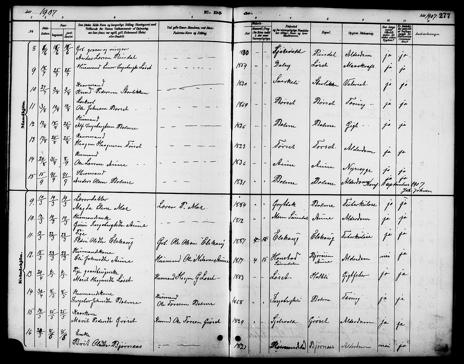 Ministerialprotokoller, klokkerbøker og fødselsregistre - Møre og Romsdal, AV/SAT-A-1454/598/L1078: Parish register (copy) no. 598C03, 1892-1909, p. 277
