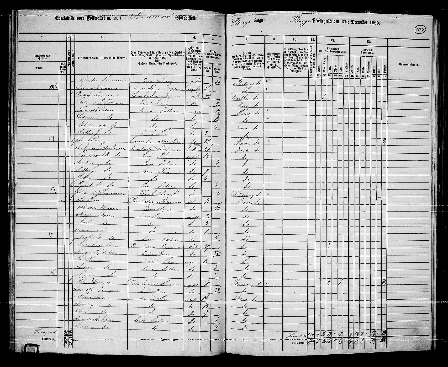 RA, 1865 census for Borge, 1865, p. 98