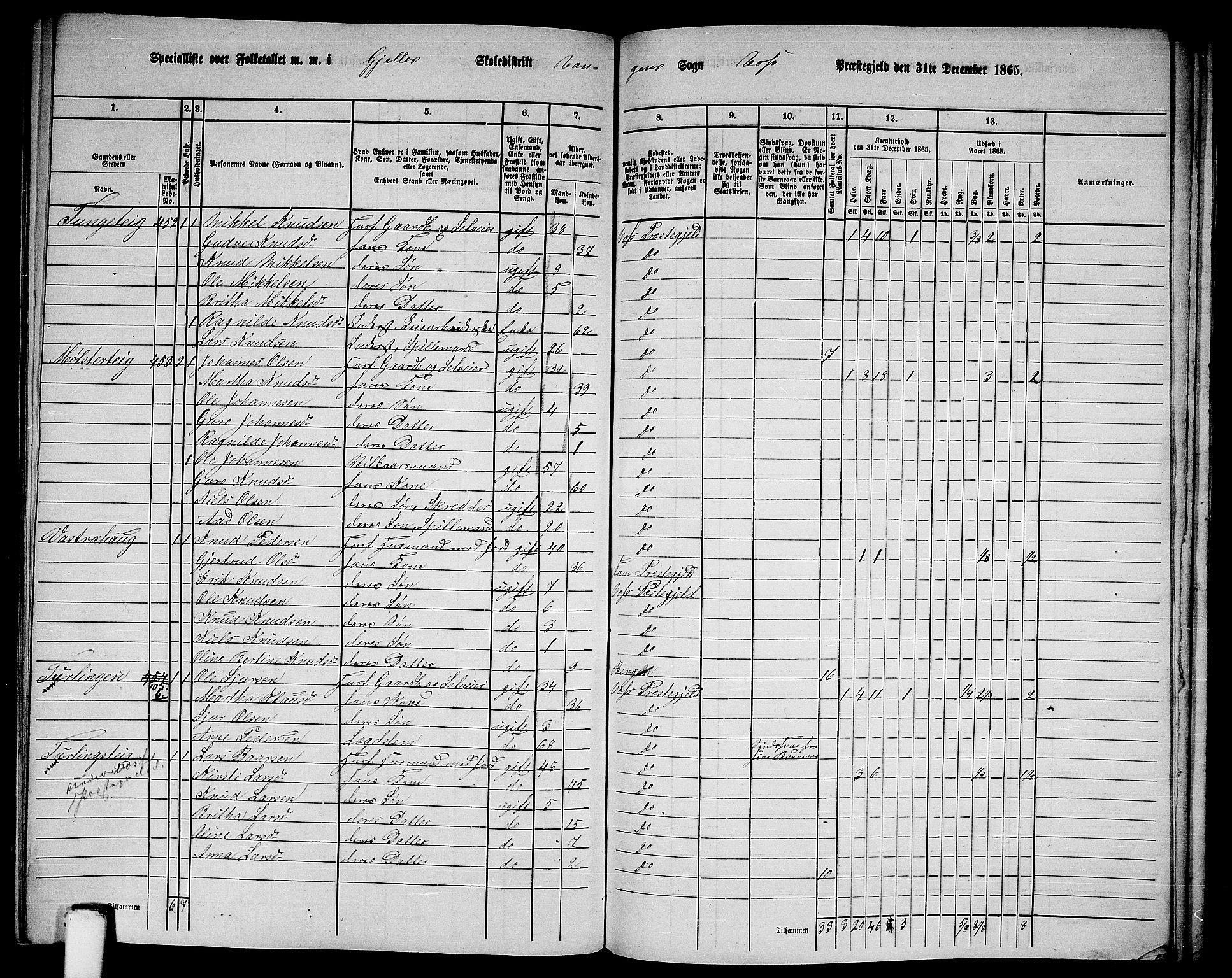 RA, 1865 census for Voss, 1865, p. 199