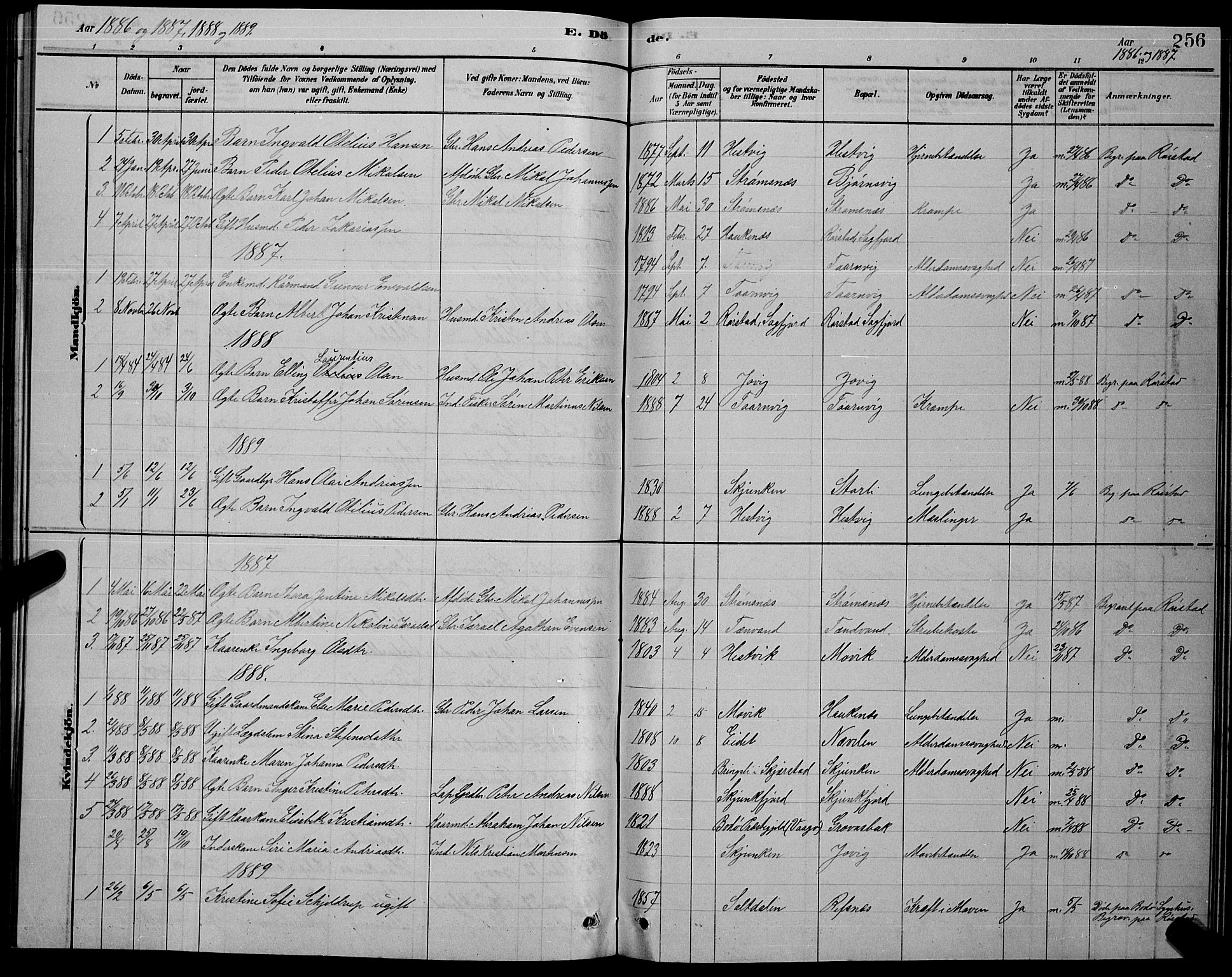 Ministerialprotokoller, klokkerbøker og fødselsregistre - Nordland, AV/SAT-A-1459/853/L0776: Parish register (copy) no. 853C04, 1878-1889, p. 256