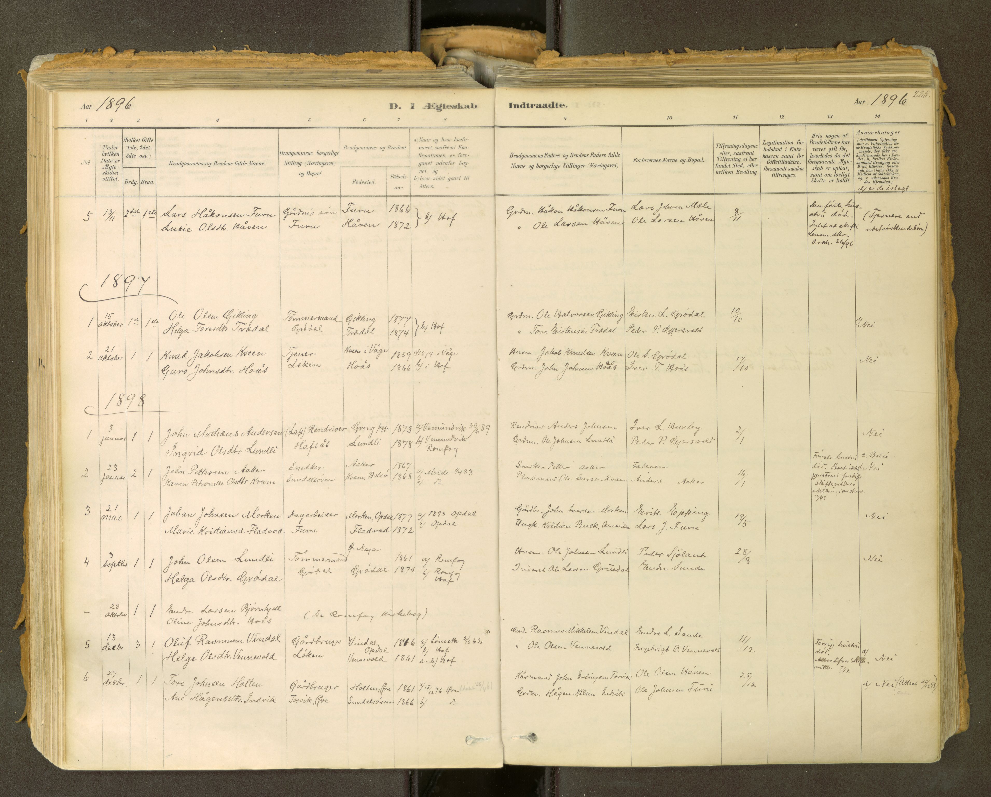Sunndal sokneprestkontor, SAT/A-1085/1/I/I1/I1a: Parish register (official) no. 2, 1877-1914, p. 225
