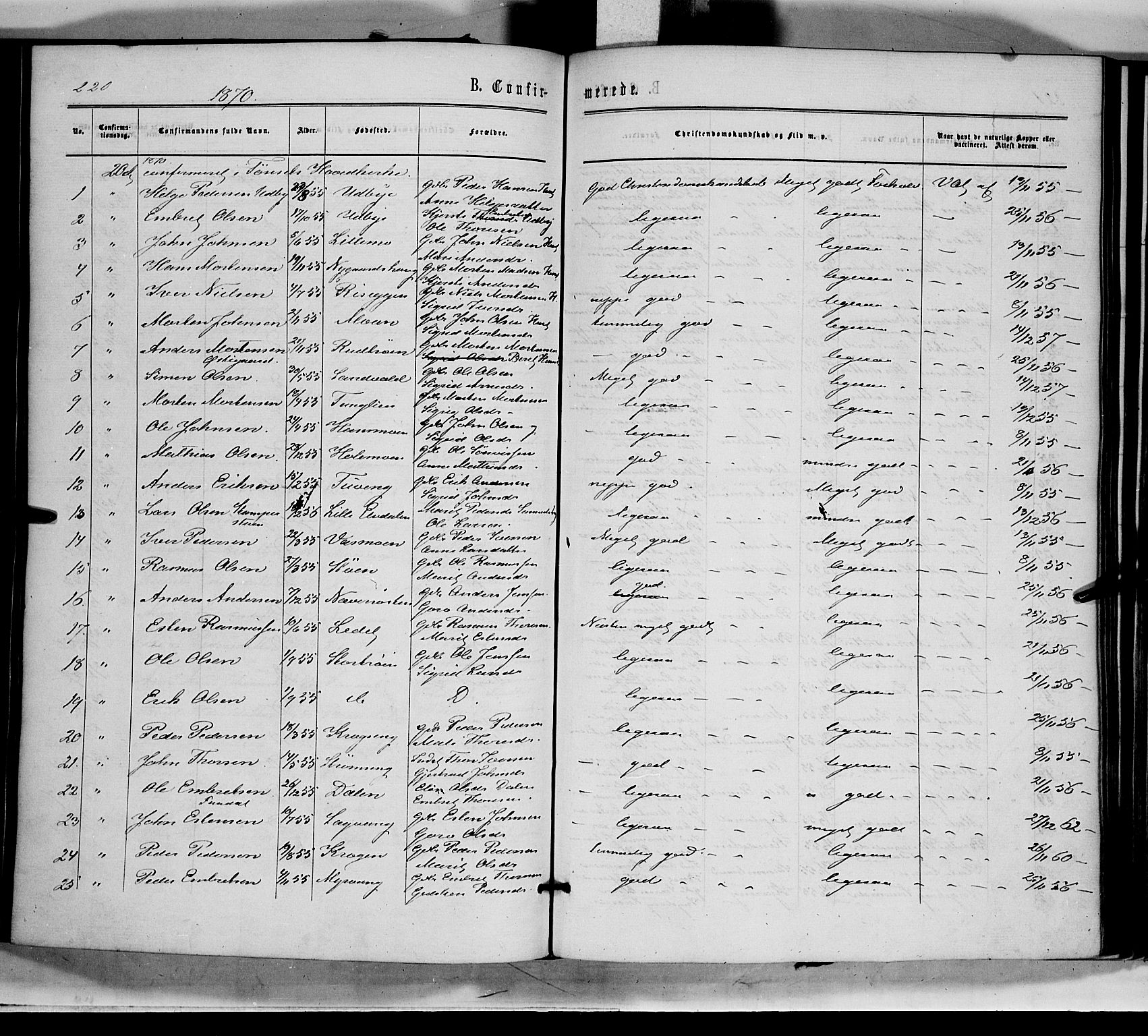 Tynset prestekontor, AV/SAH-PREST-058/H/Ha/Haa/L0021: Parish register (official) no. 21, 1863-1879, p. 220