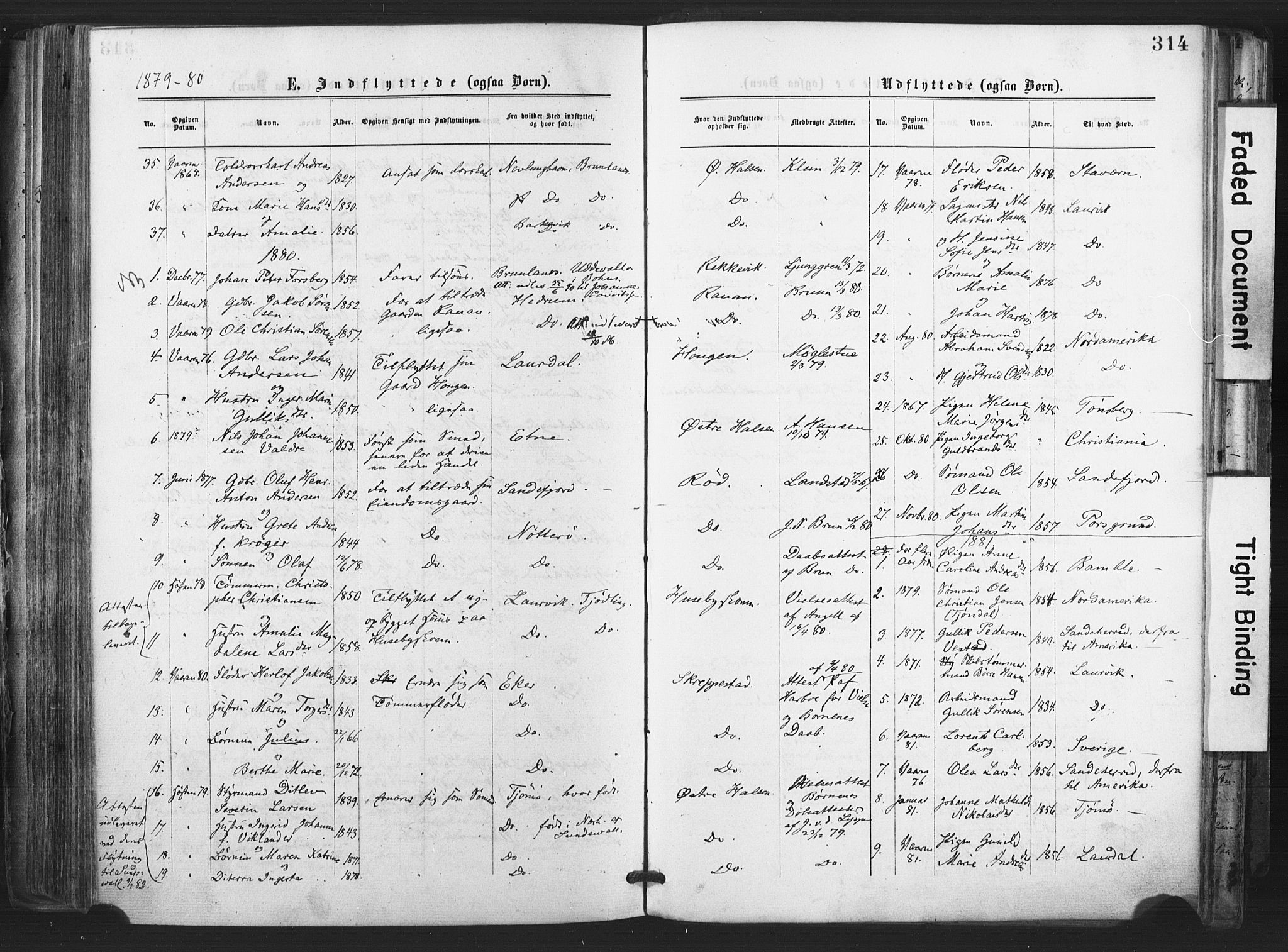 Tjølling kirkebøker, AV/SAKO-A-60/F/Fa/L0008: Parish register (official) no. 8, 1877-1886, p. 314