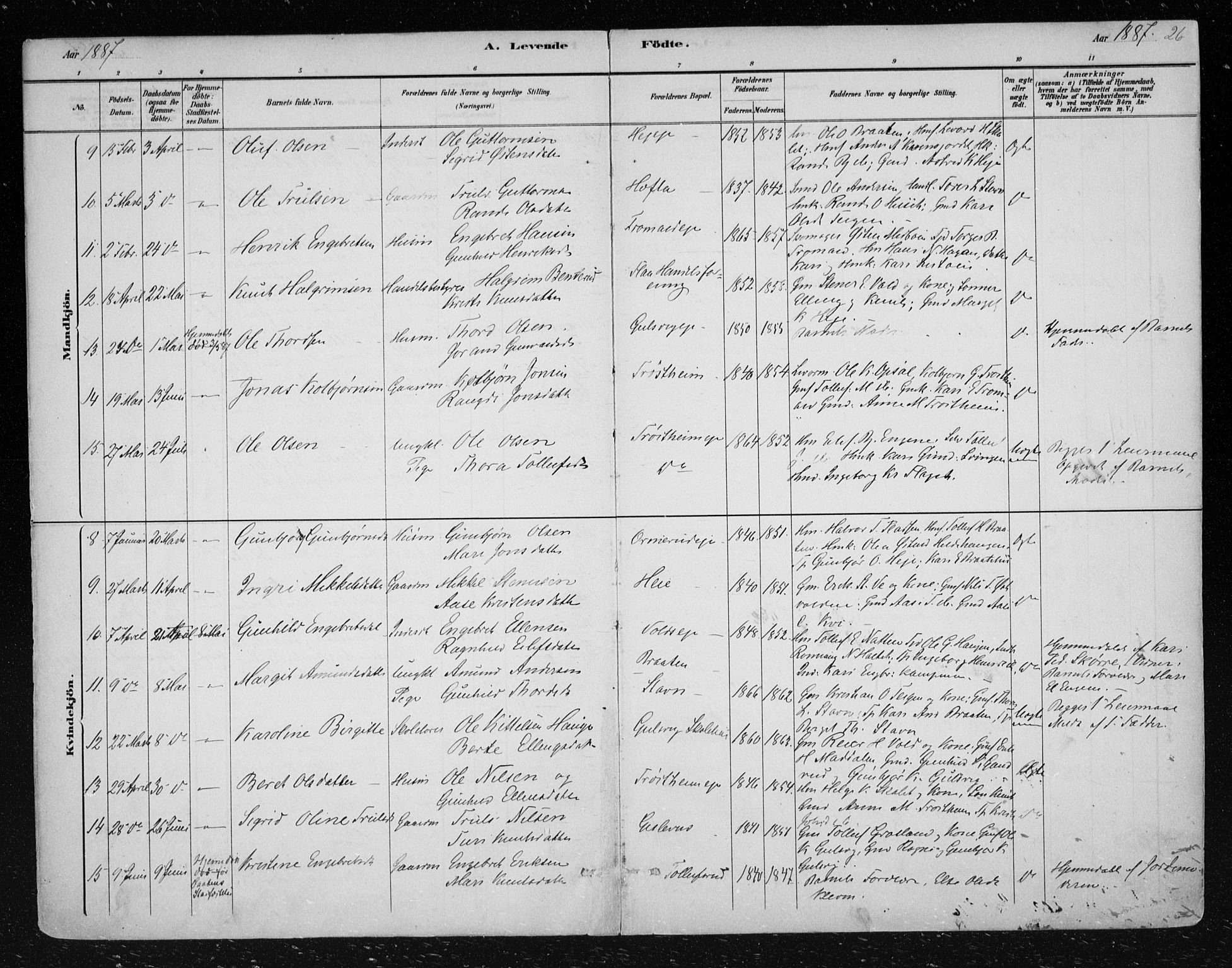 Nes kirkebøker, AV/SAKO-A-236/F/Fa/L0012: Parish register (official) no. 12, 1881-1917, p. 26