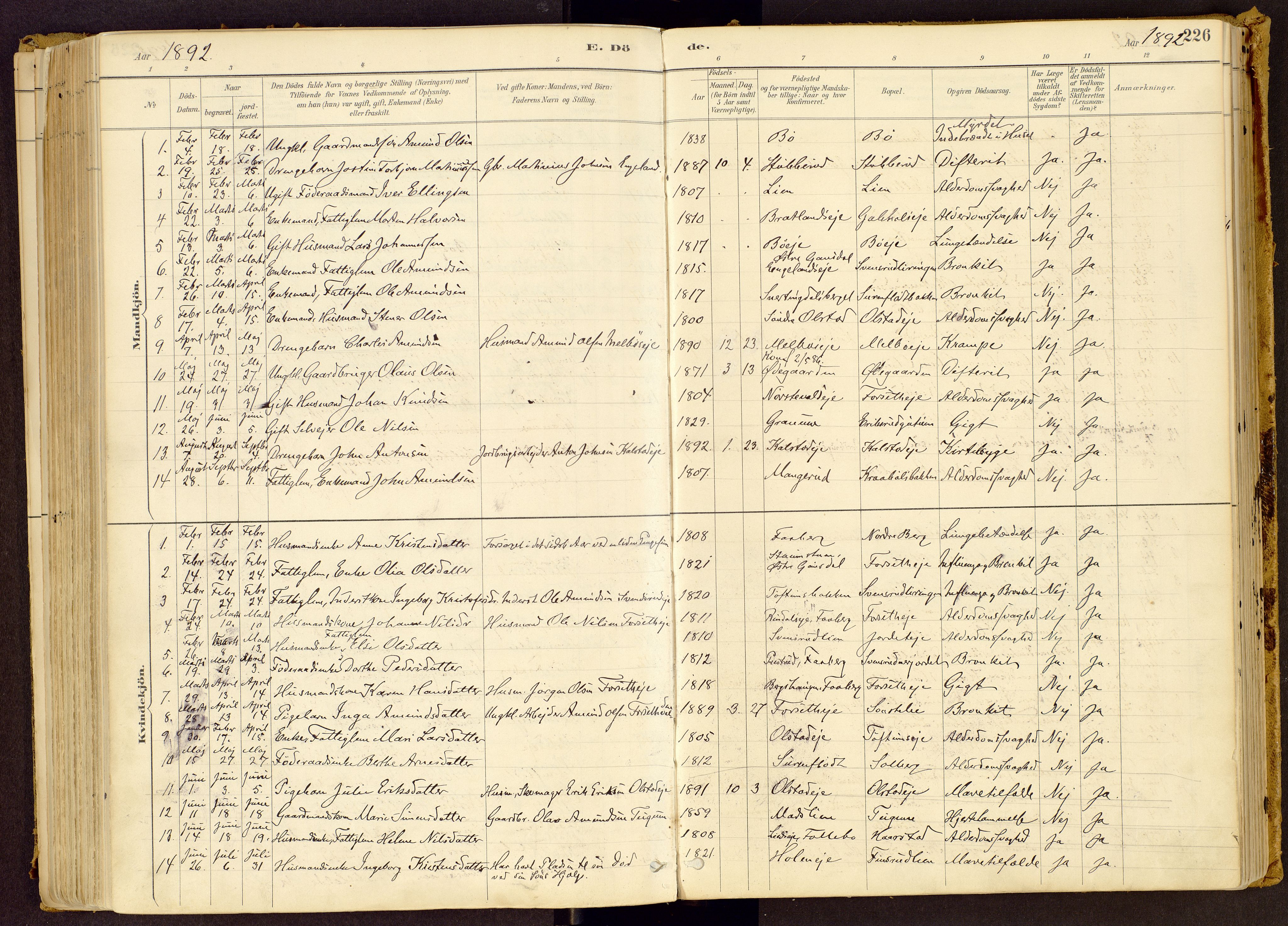 Vestre Gausdal prestekontor, SAH/PREST-094/H/Ha/Haa/L0001: Parish register (official) no. 1, 1887-1914, p. 226