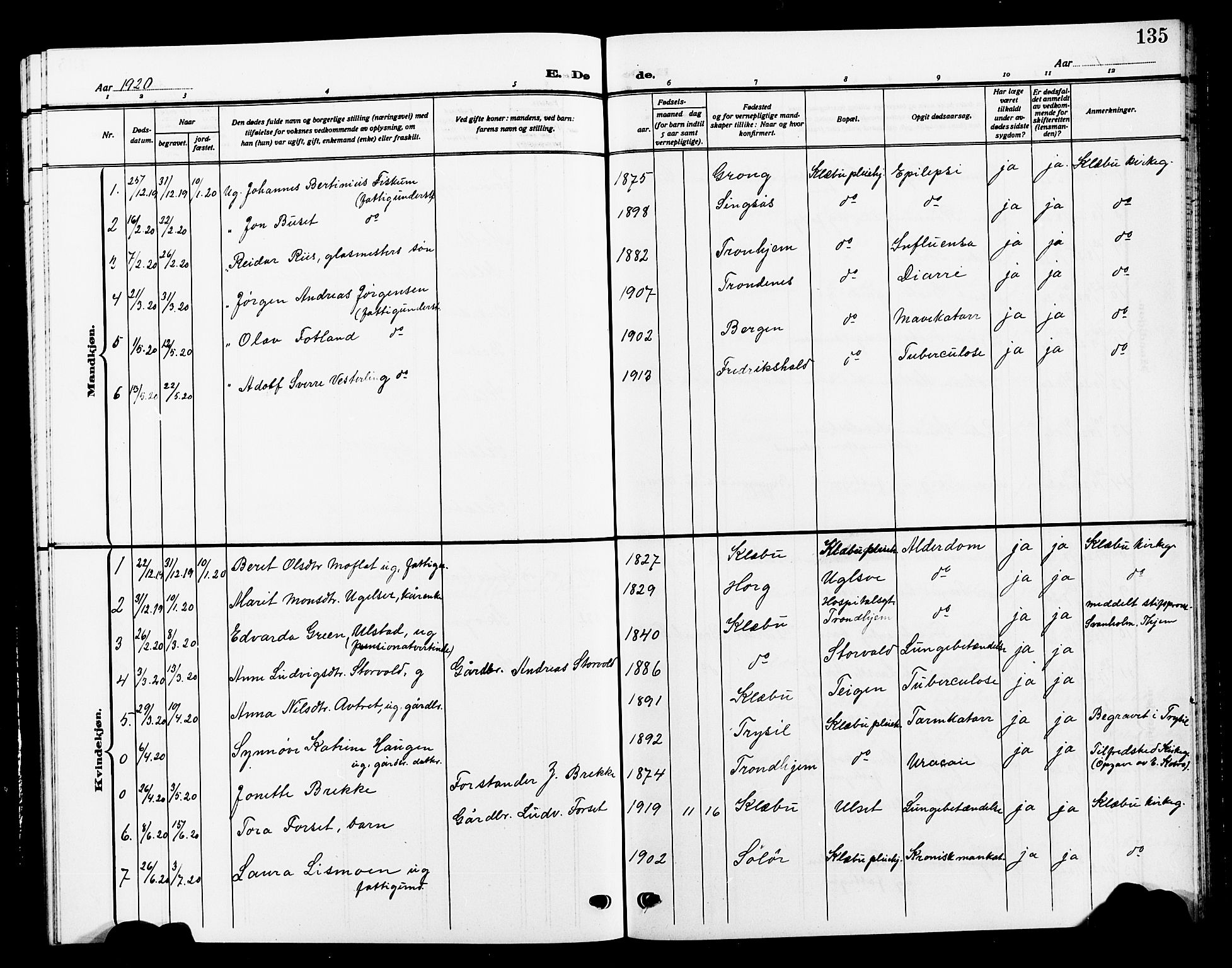 Ministerialprotokoller, klokkerbøker og fødselsregistre - Sør-Trøndelag, SAT/A-1456/618/L0453: Parish register (copy) no. 618C04, 1907-1925, p. 135