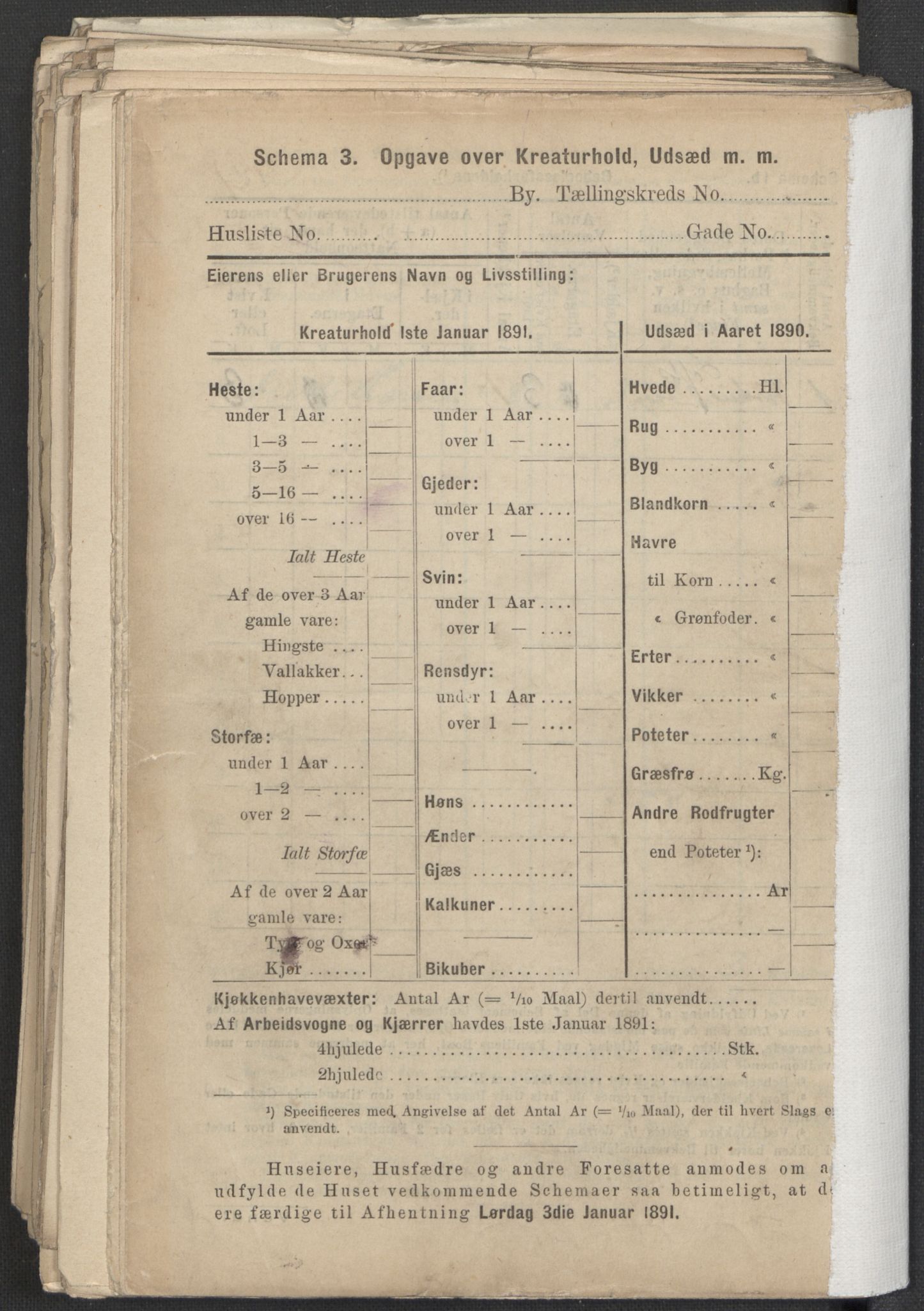 RA, 1891 Census for 1301 Bergen, 1891, p. 2771