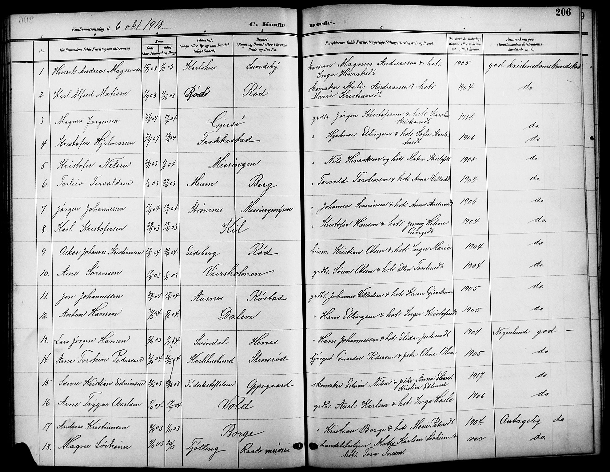 Råde prestekontor kirkebøker, AV/SAO-A-2009/G/Ga/L0001: Parish register (copy) no. 1, 1903-1925, p. 206