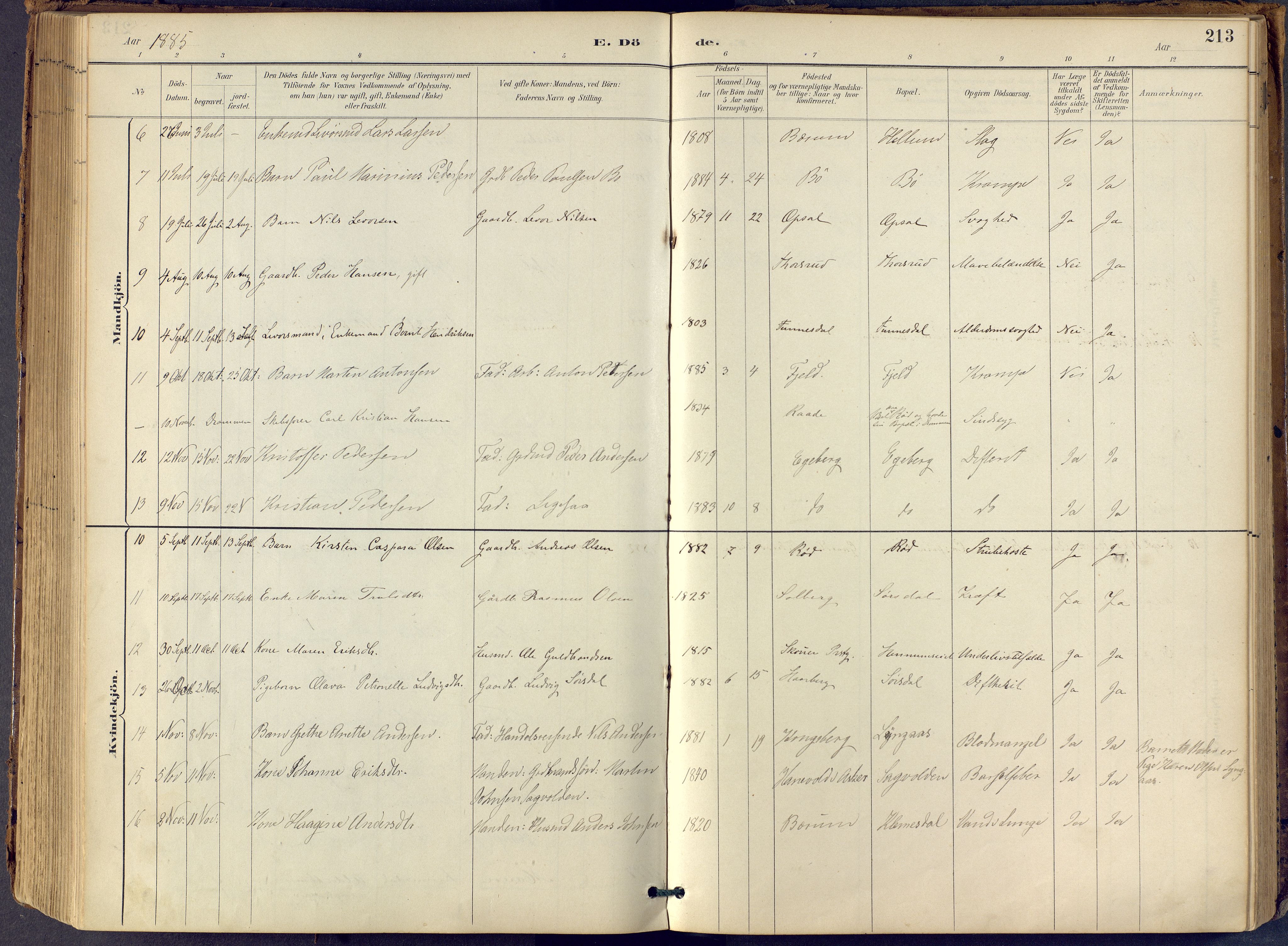 Lier kirkebøker, SAKO/A-230/F/Fb/L0001: Parish register (official) no. II 1, 1883-1910, p. 213