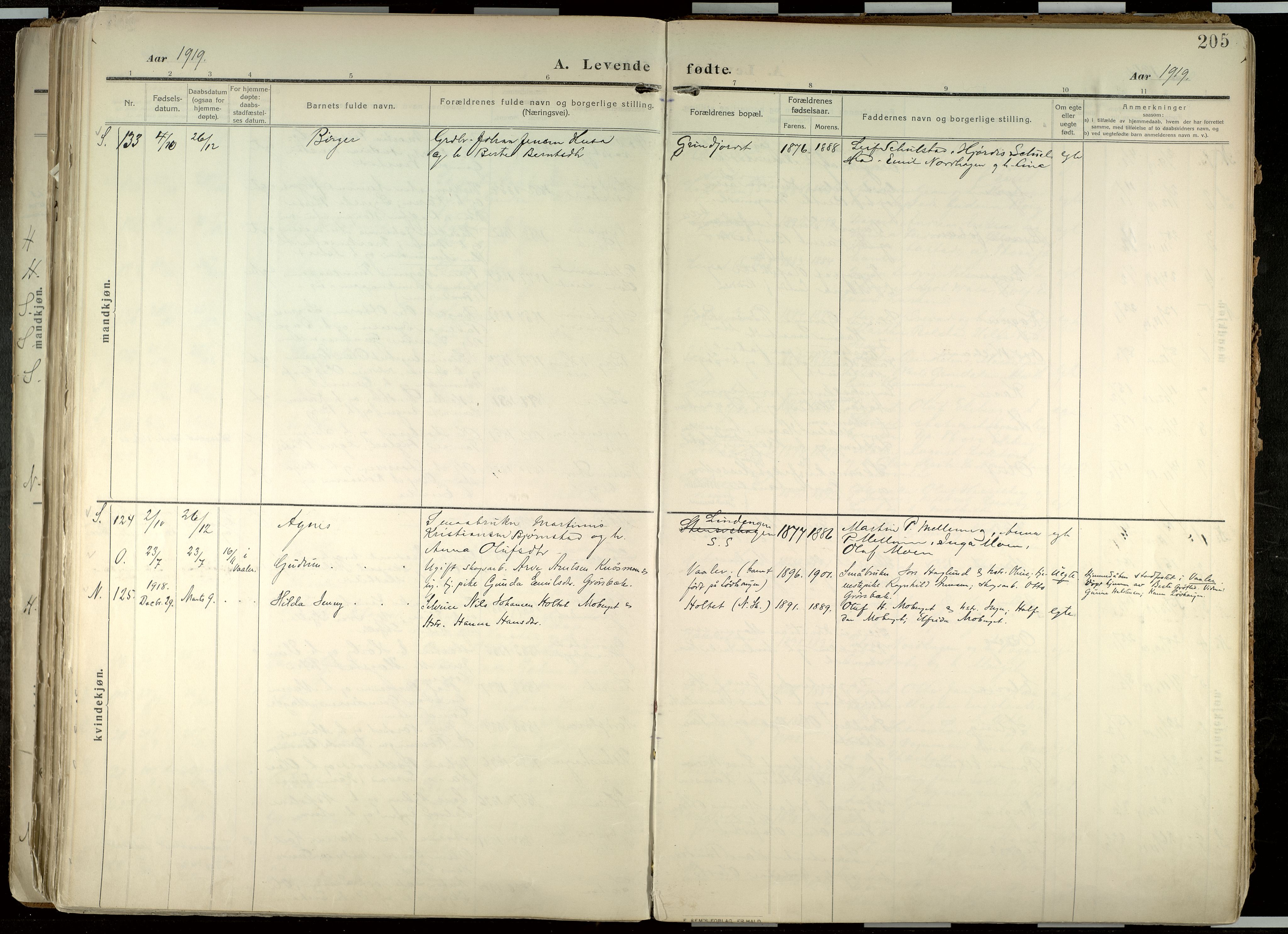 Elverum prestekontor, AV/SAH-PREST-044/H/Ha/Haa/L0020: Parish register (official) no. 20, 1909-1921, p. 205