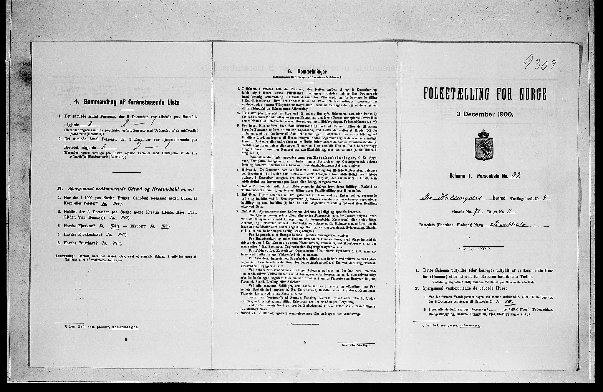 RA, 1900 census for Nes, 1900, p. 620