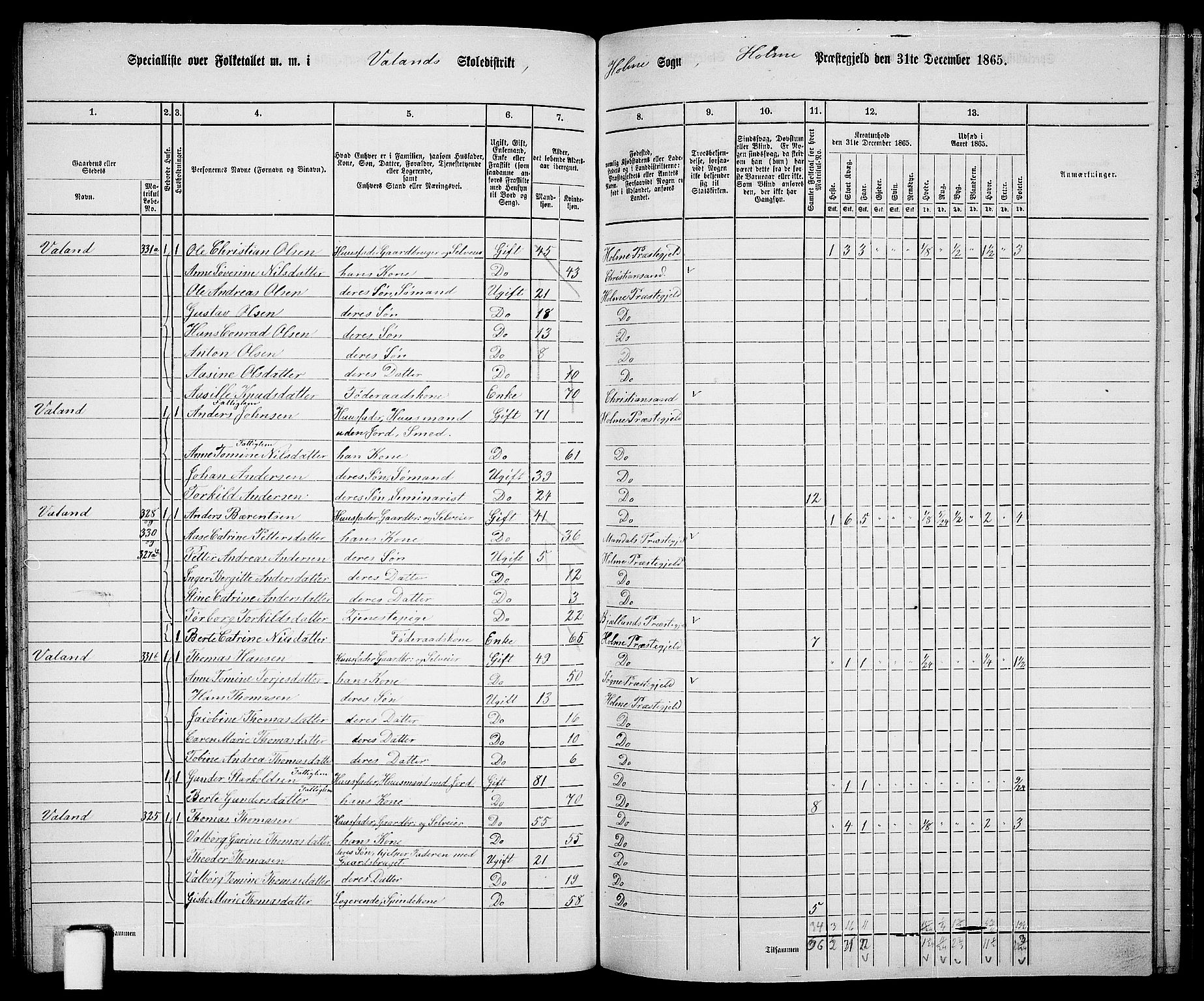 RA, 1865 census for Holum, 1865, p. 79