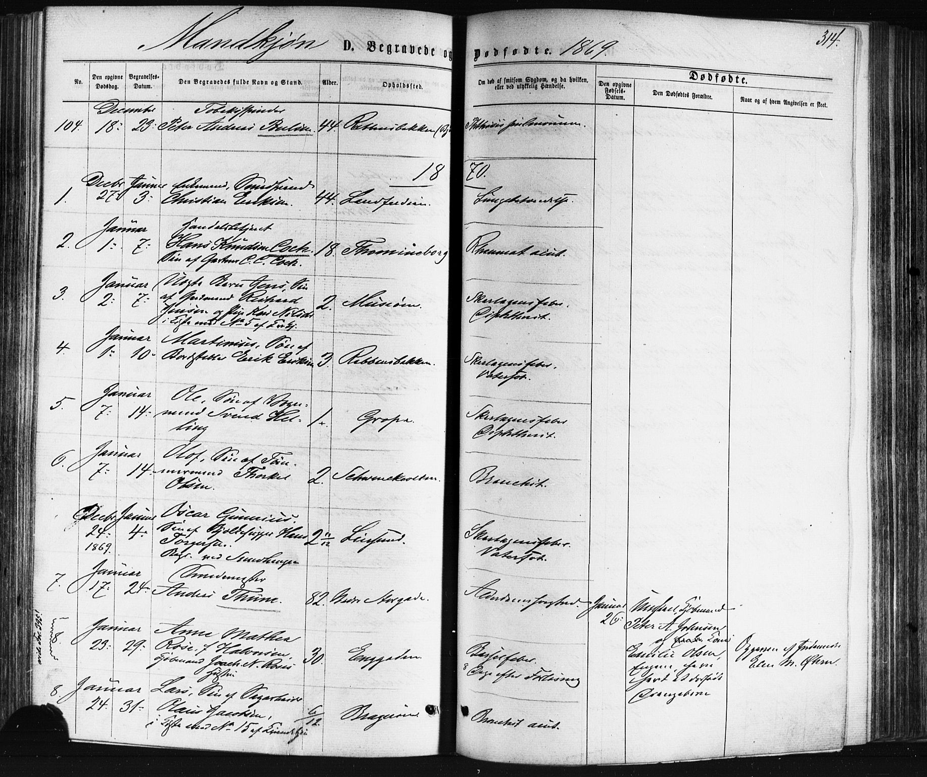 Bragernes kirkebøker, AV/SAKO-A-6/F/Fb/L0004: Parish register (official) no. II 4, 1869-1875, p. 314