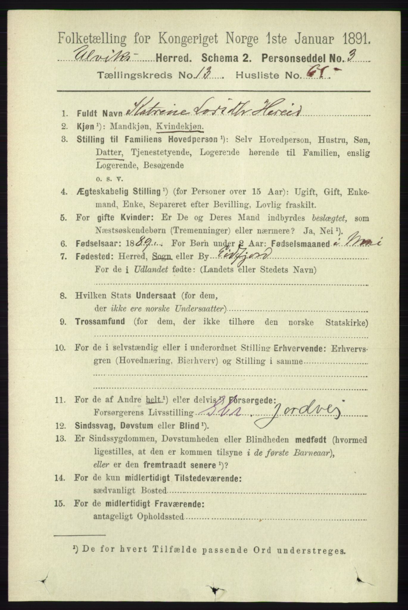 RA, 1891 census for 1233 Ulvik, 1891, p. 4203