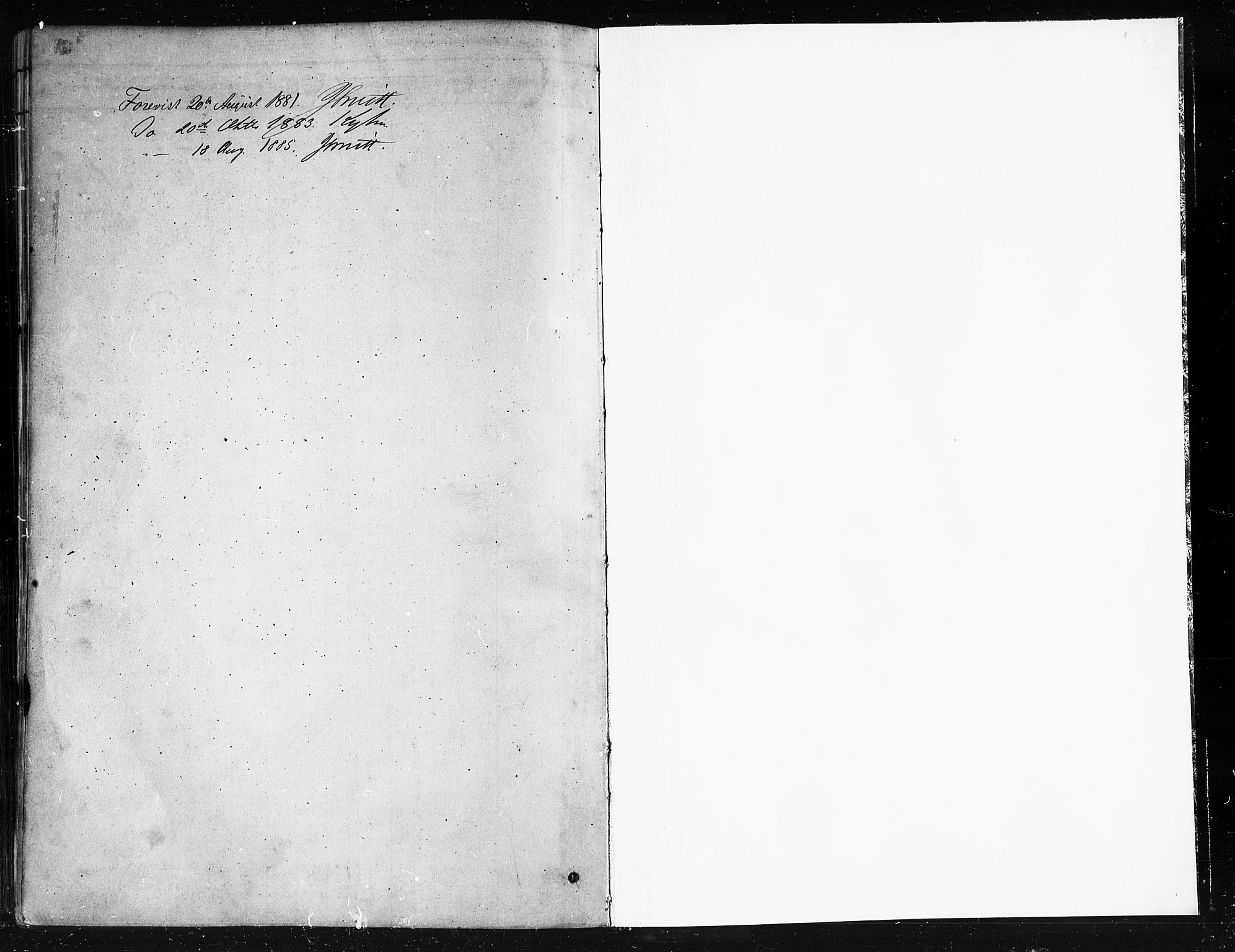 Ministerialprotokoller, klokkerbøker og fødselsregistre - Nordland, SAT/A-1459/893/L1335: Parish register (official) no. 893A08 /2, 1878-1884