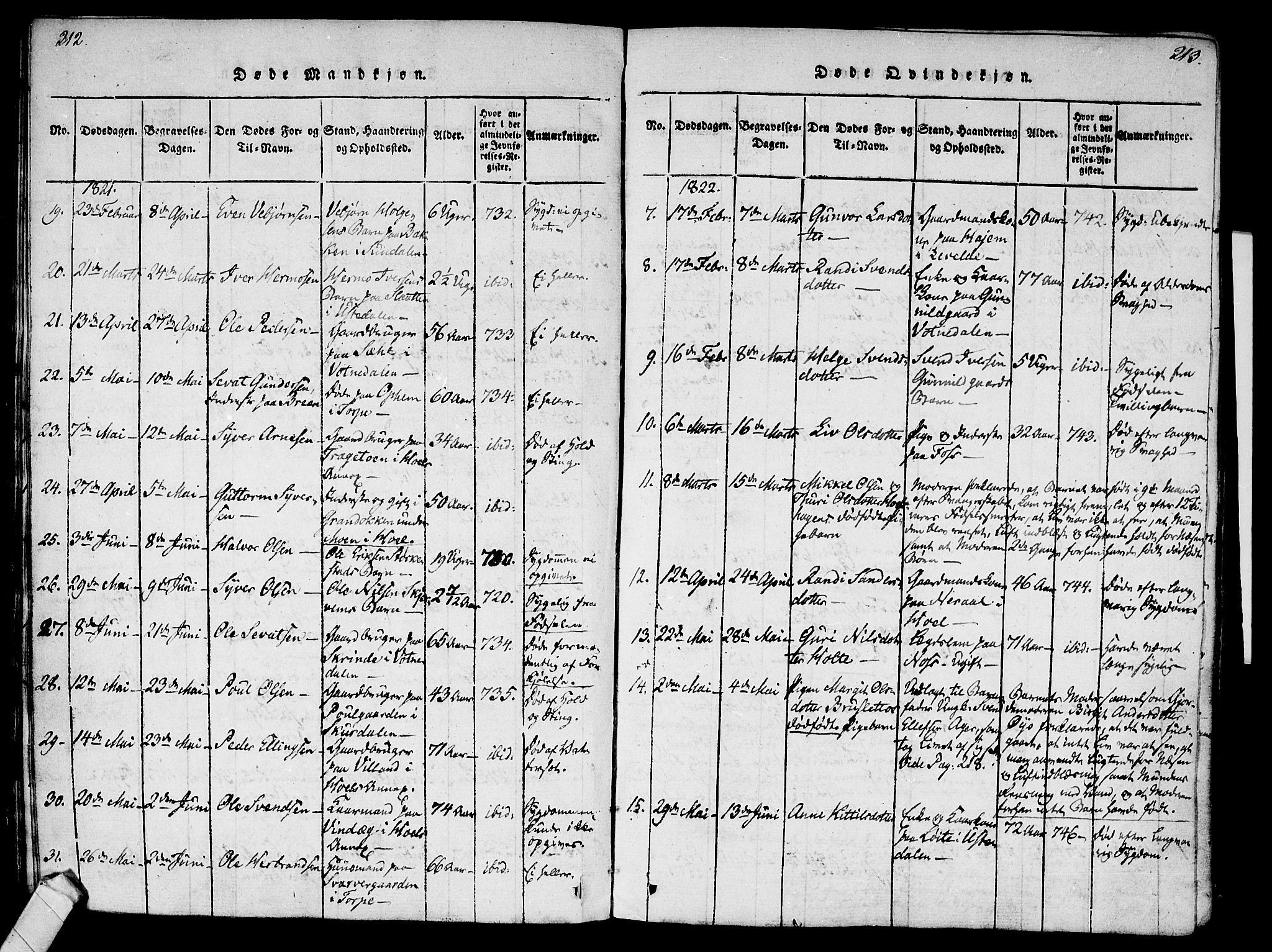 Ål kirkebøker, SAKO/A-249/F/Fa/L0004: Parish register (official) no. I 4, 1815-1825, p. 212-213