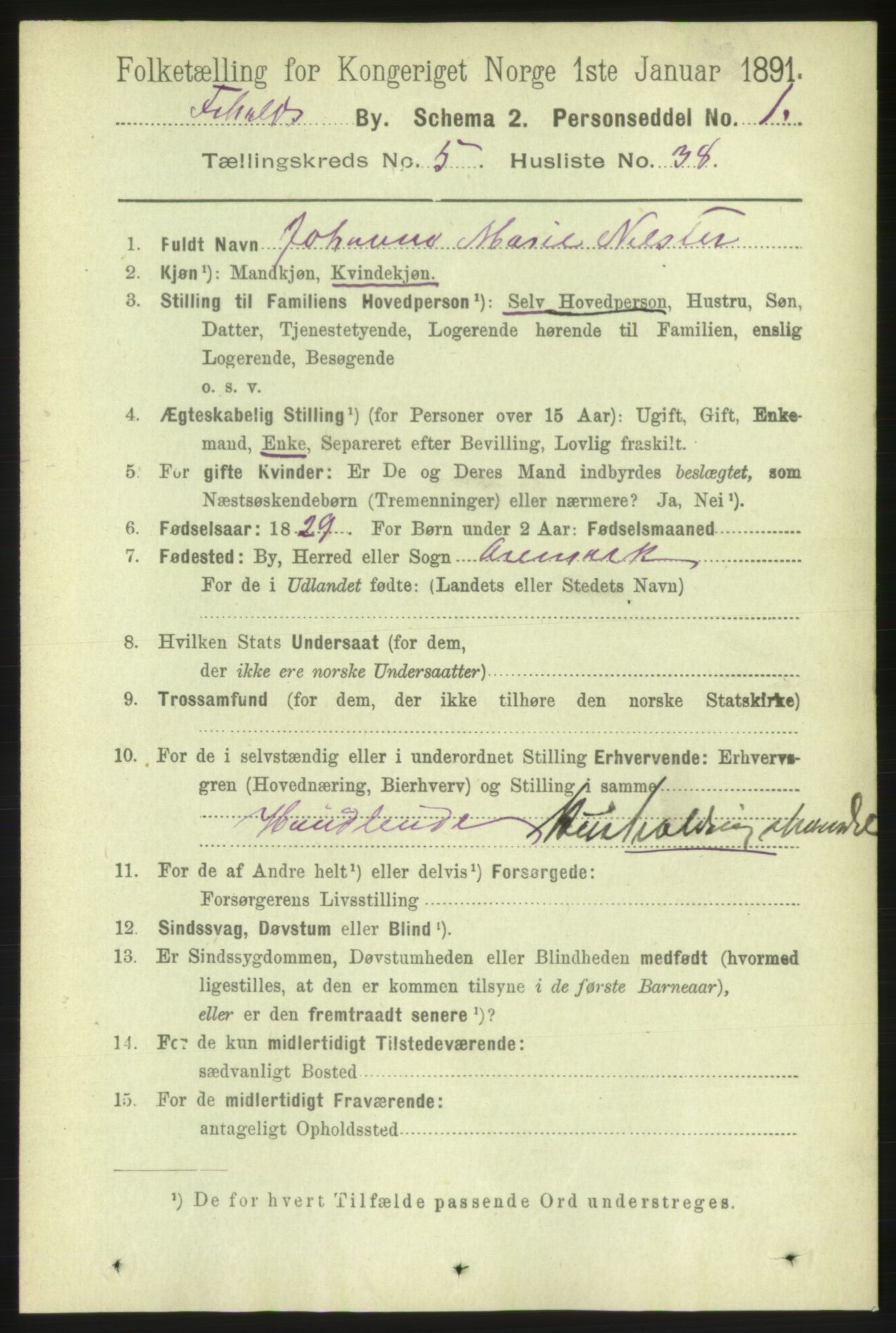 RA, 1891 census for 0101 Fredrikshald, 1891, p. 4446