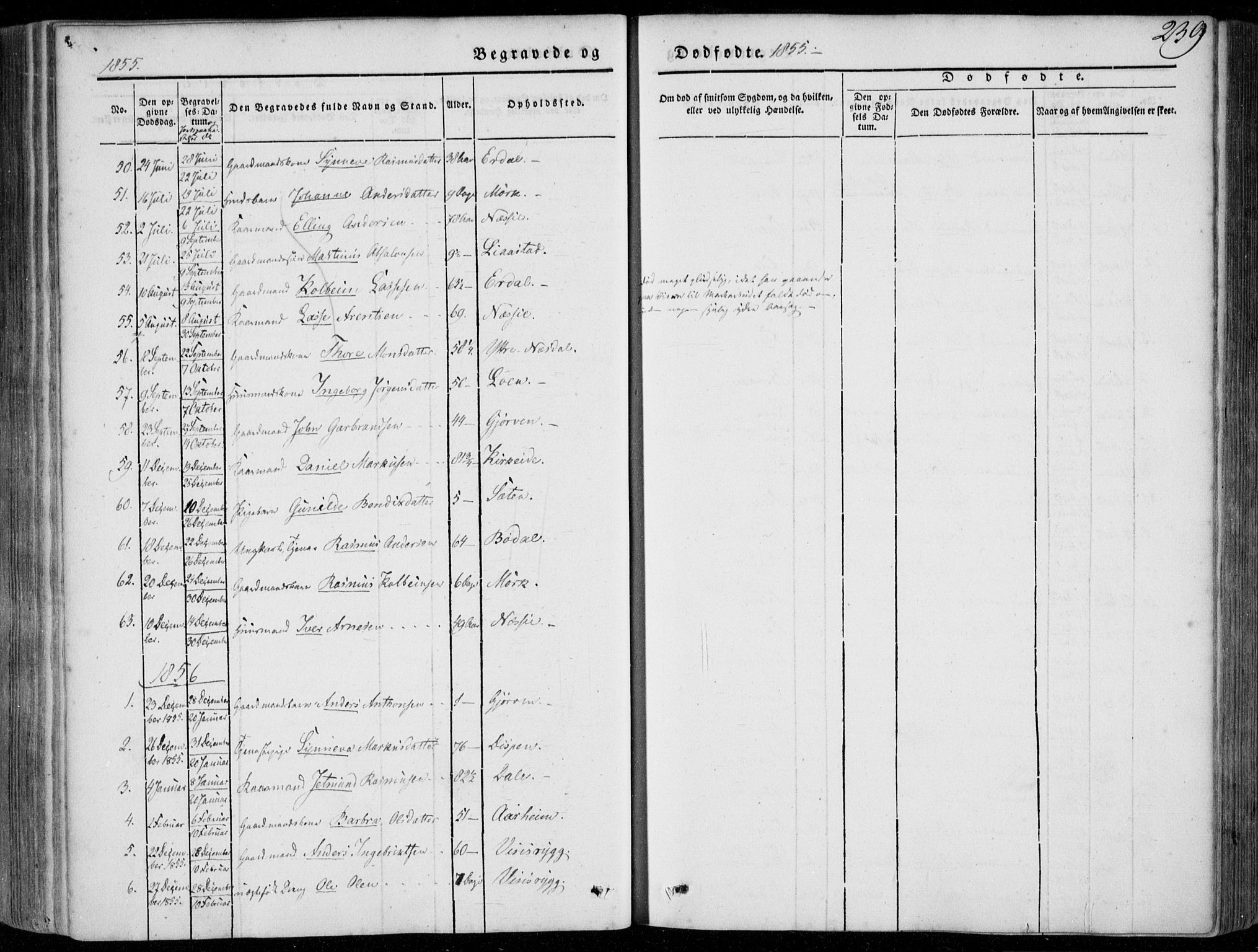 Stryn Sokneprestembete, SAB/A-82501: Parish register (official) no. A 2, 1844-1861, p. 239