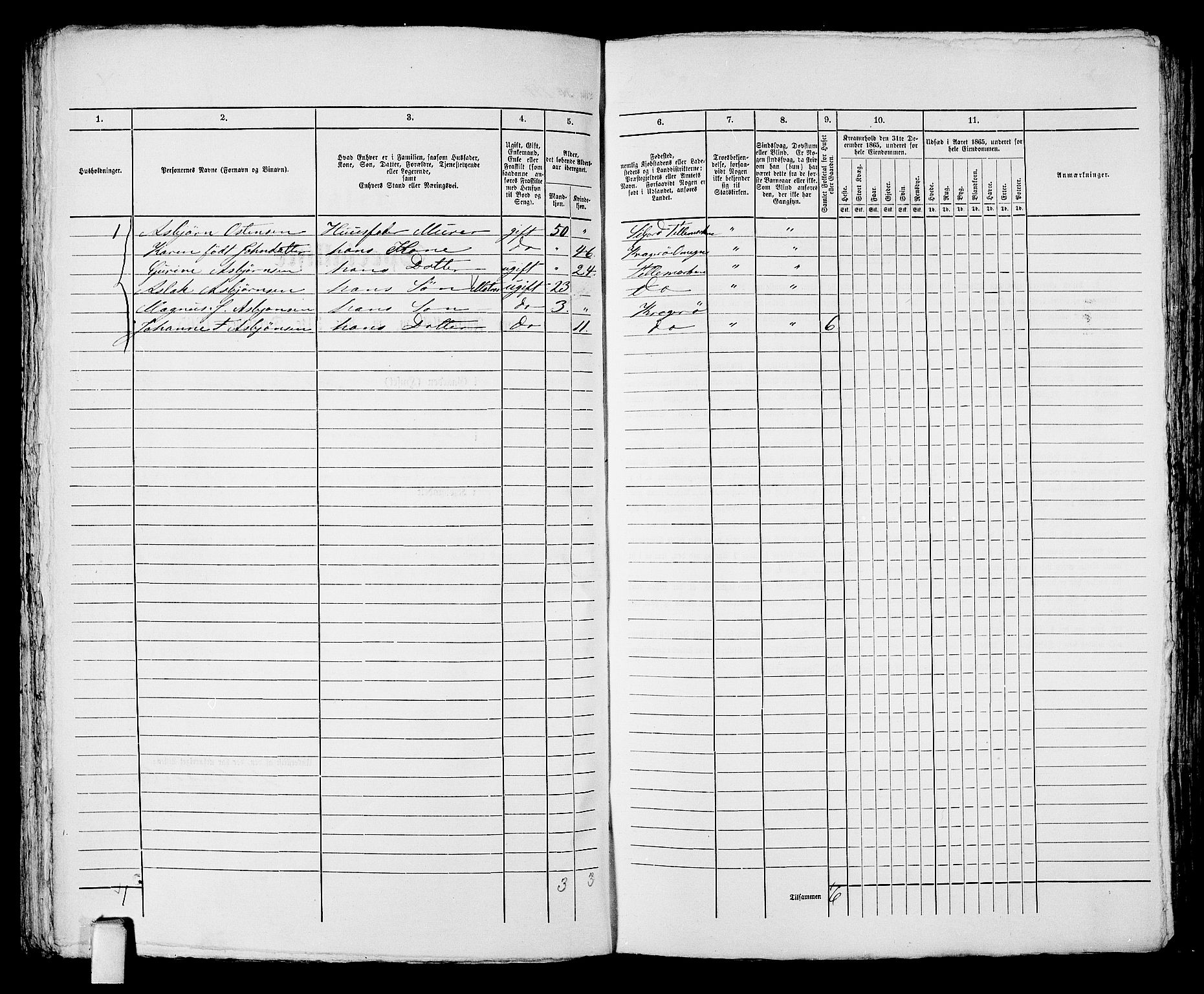 RA, 1865 census for Kragerø/Kragerø, 1865, p. 294