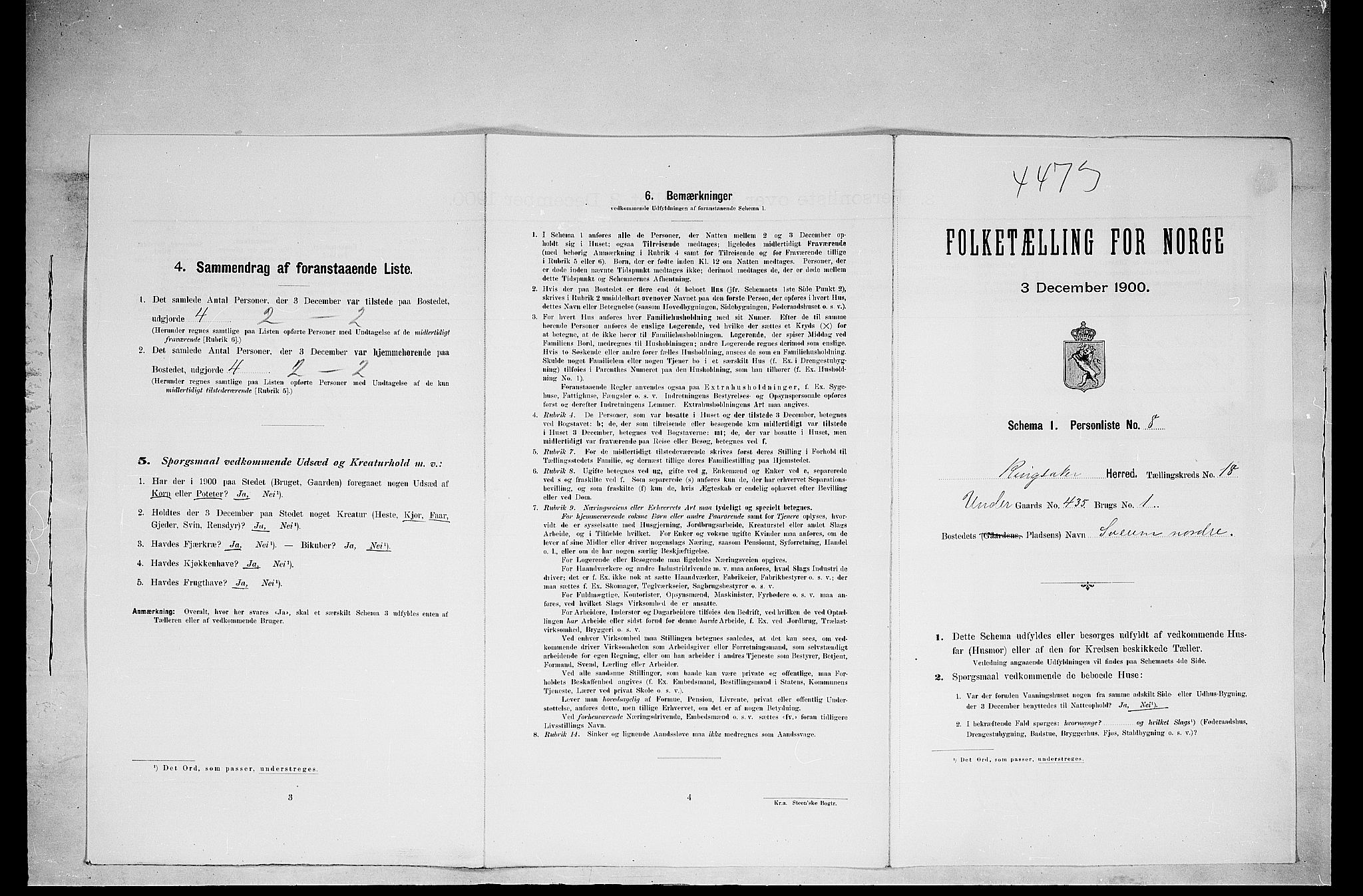 SAH, 1900 census for Ringsaker, 1900, p. 3244