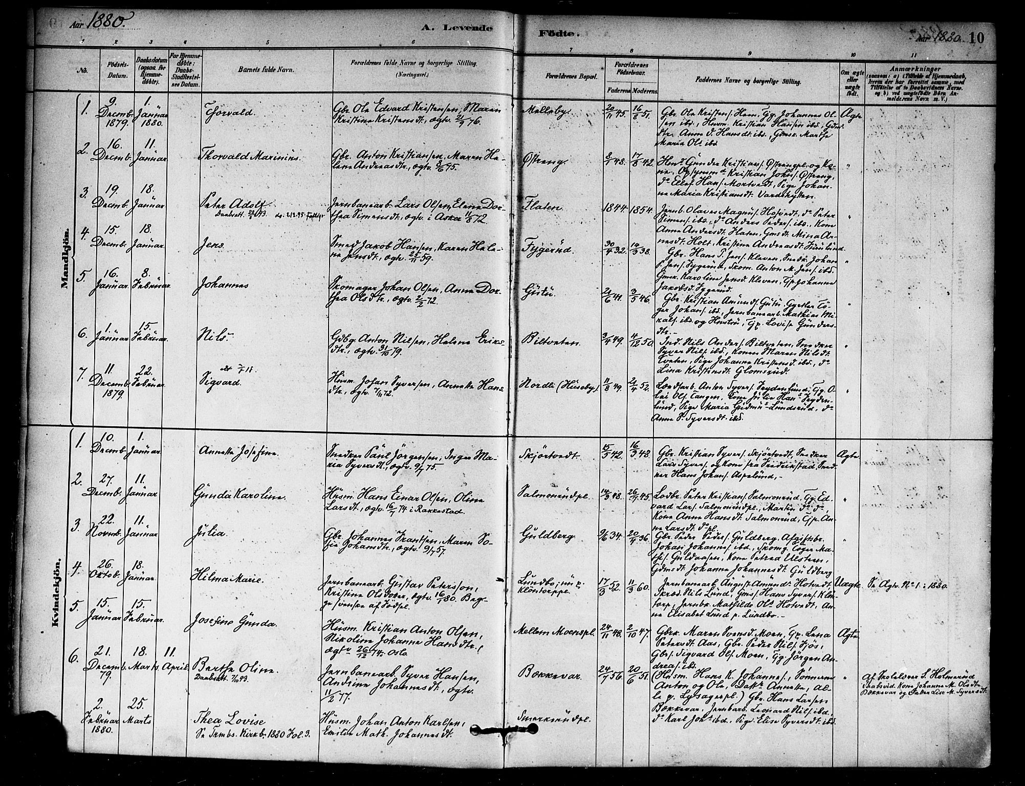 Eidsberg prestekontor Kirkebøker, SAO/A-10905/F/Fa/L0012: Parish register (official) no. I 12, 1879-1901, p. 10