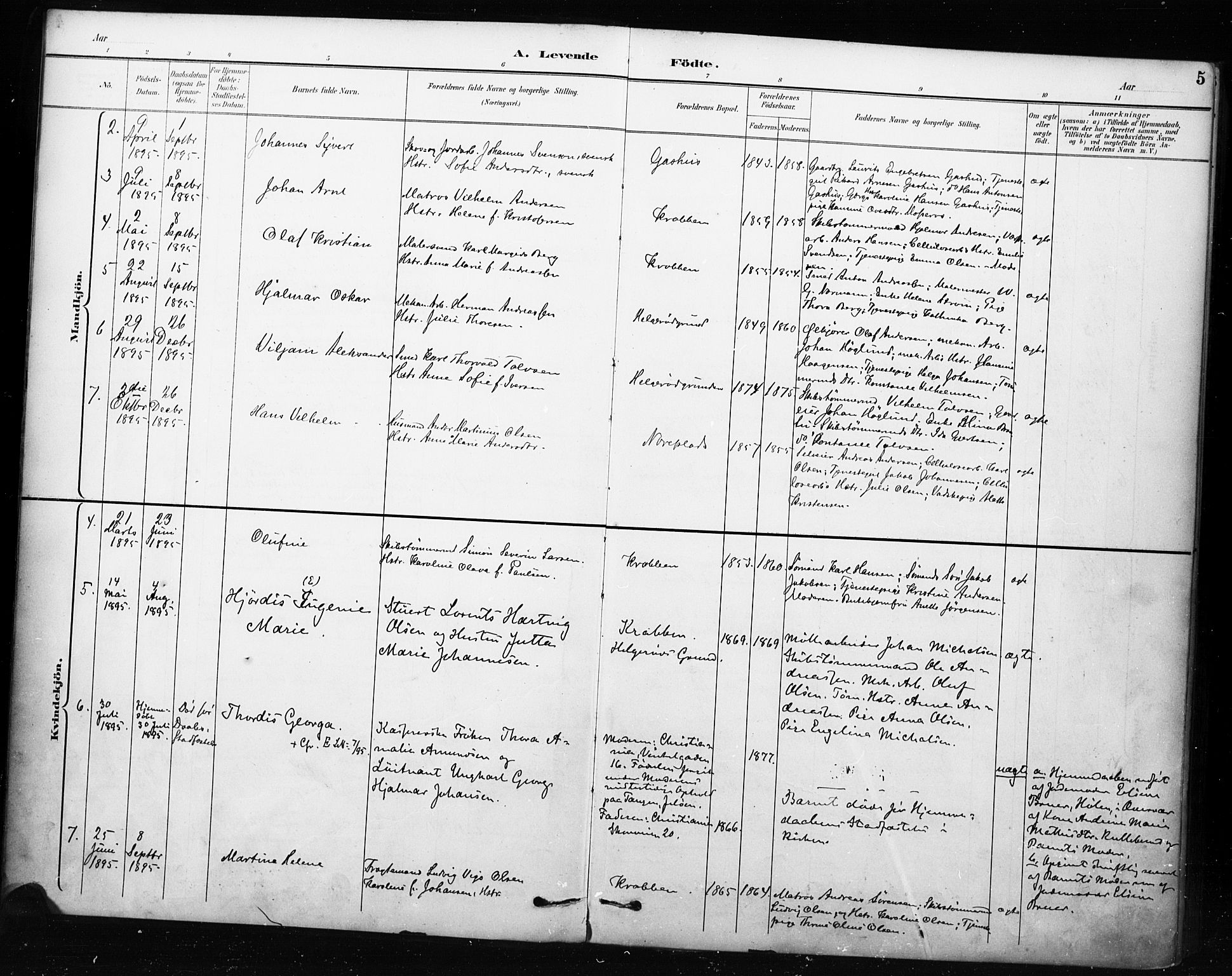 Moss prestekontor Kirkebøker, AV/SAO-A-2003/F/Fc/L0002: Parish register (official) no. III 2, 1894-1906, p. 5