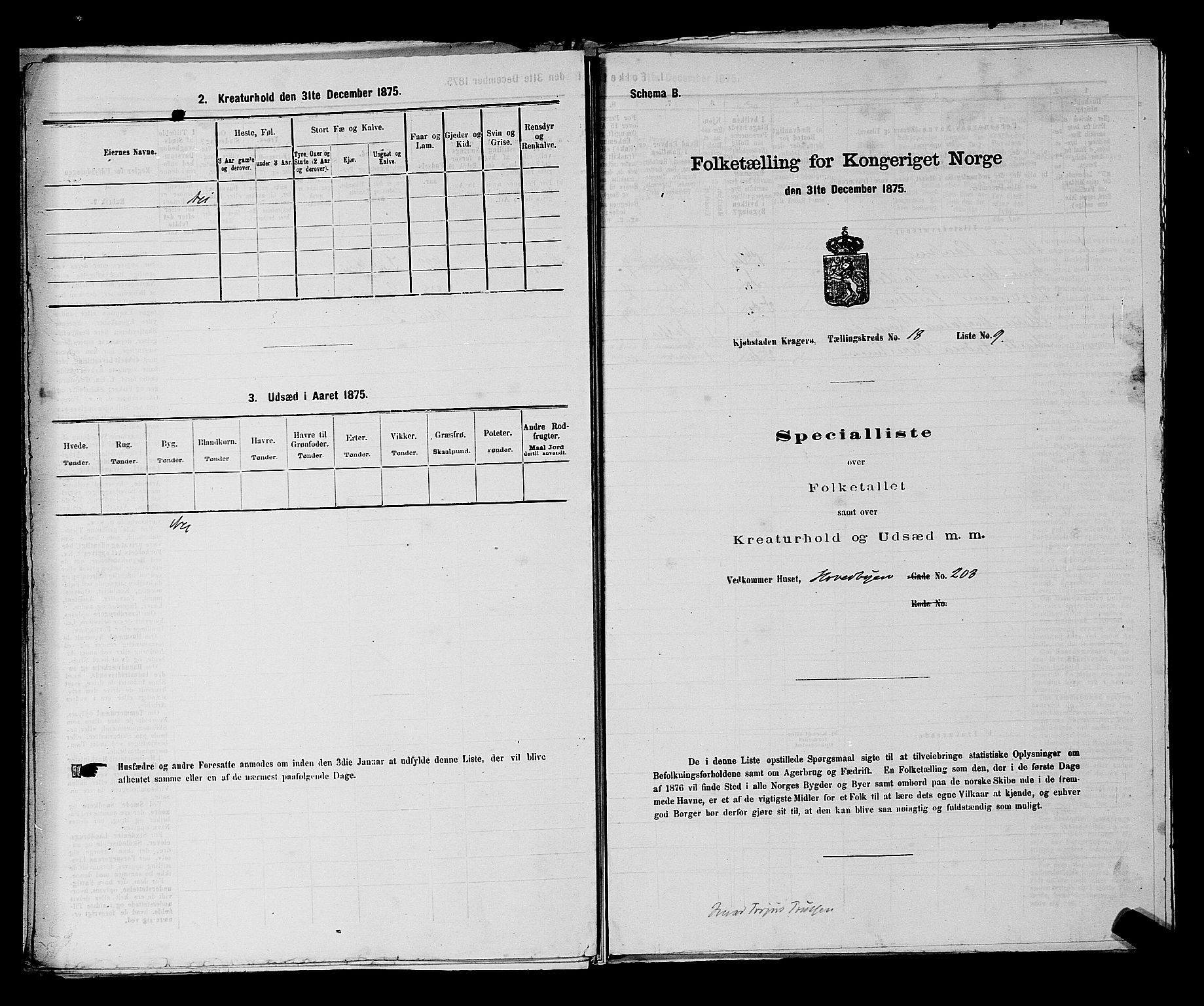 SAKO, 1875 census for 0801P Kragerø, 1875, p. 395