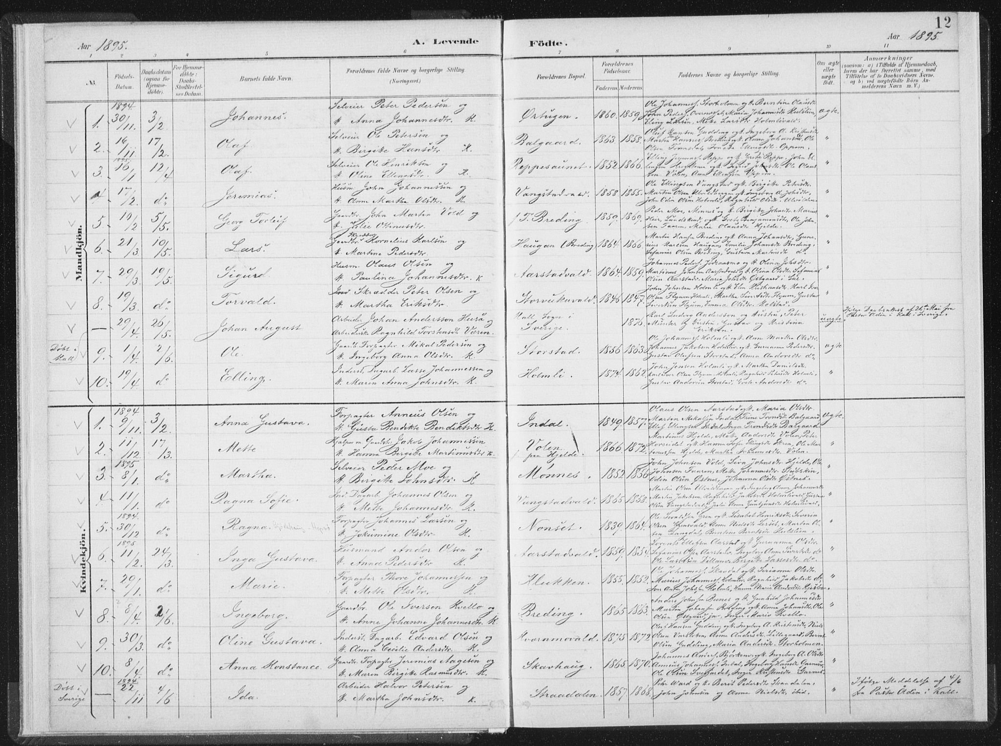 Ministerialprotokoller, klokkerbøker og fødselsregistre - Nord-Trøndelag, AV/SAT-A-1458/724/L0263: Parish register (official) no. 724A01, 1891-1907, p. 12