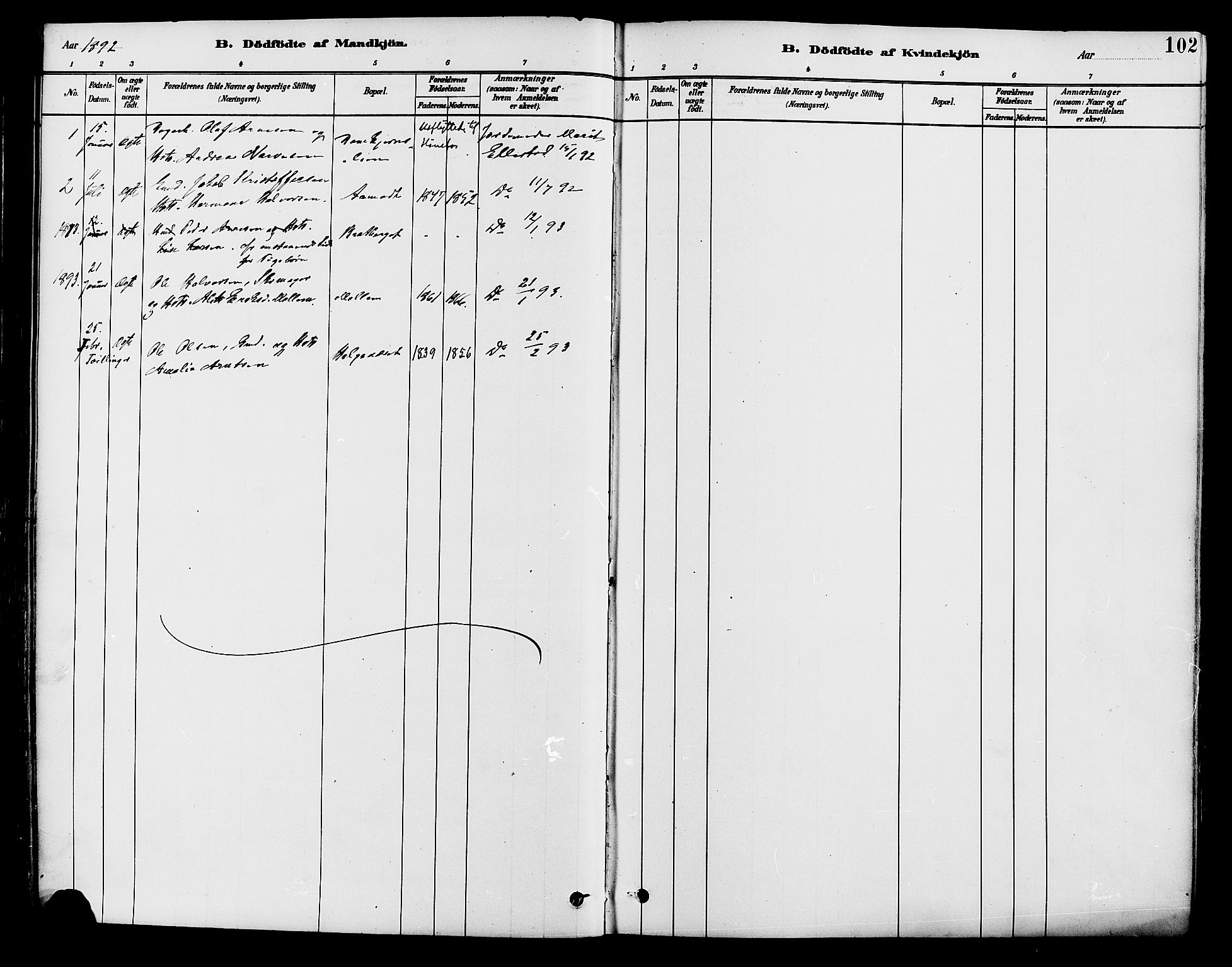 Brandval prestekontor, SAH/PREST-034/H/Ha/Haa/L0002: Parish register (official) no. 2, 1880-1894, p. 102