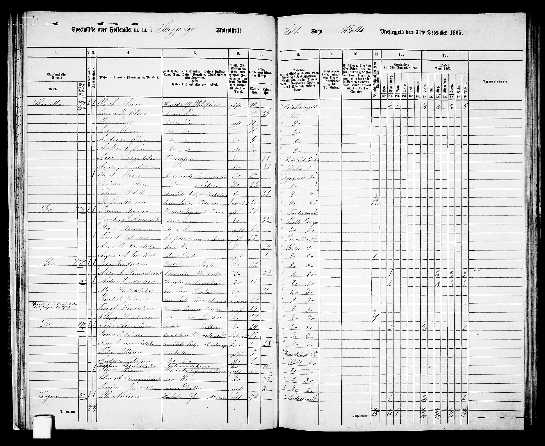 RA, 1865 census for Holt/Holt, 1865, p. 29