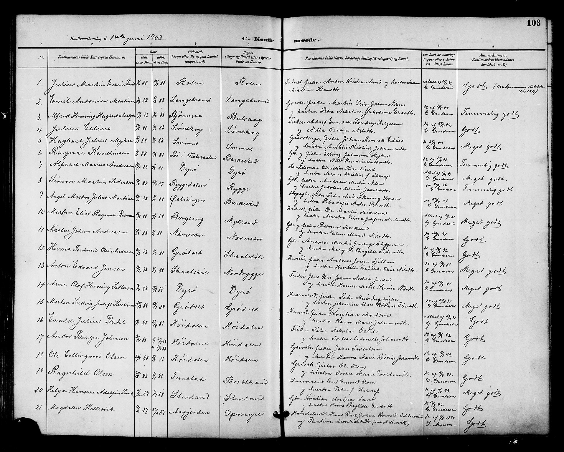 Ministerialprotokoller, klokkerbøker og fødselsregistre - Nordland, AV/SAT-A-1459/893/L1338: Parish register (official) no. 893A10, 1894-1903, p. 103