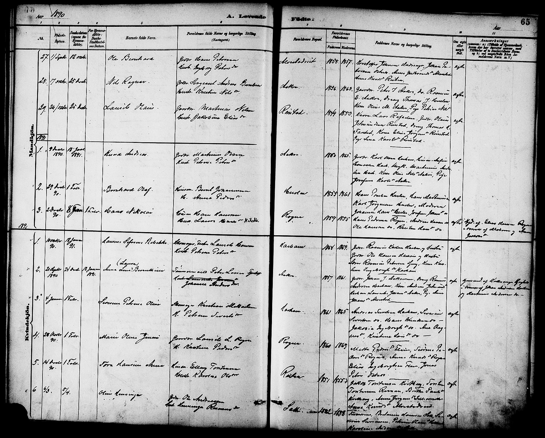 Ministerialprotokoller, klokkerbøker og fødselsregistre - Møre og Romsdal, SAT/A-1454/536/L0501: Parish register (official) no. 536A10, 1884-1896, p. 65