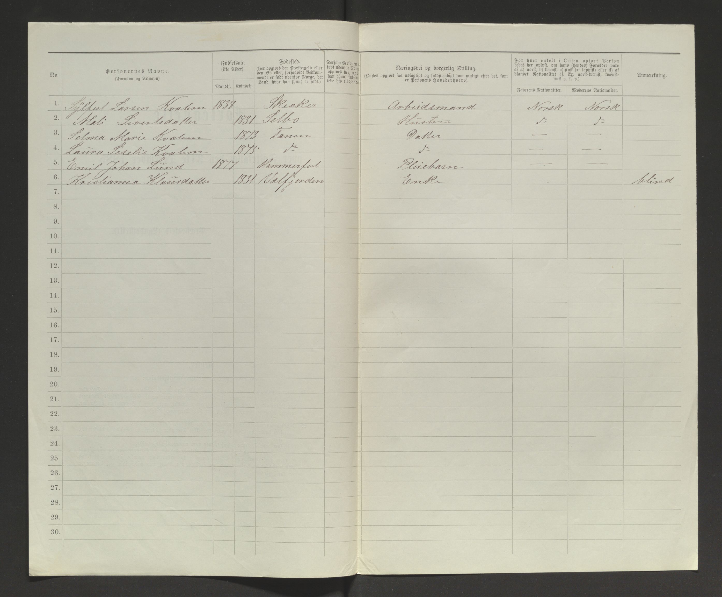 SATØ, 1885 census for 2025 Tana, 1885, p. 100b