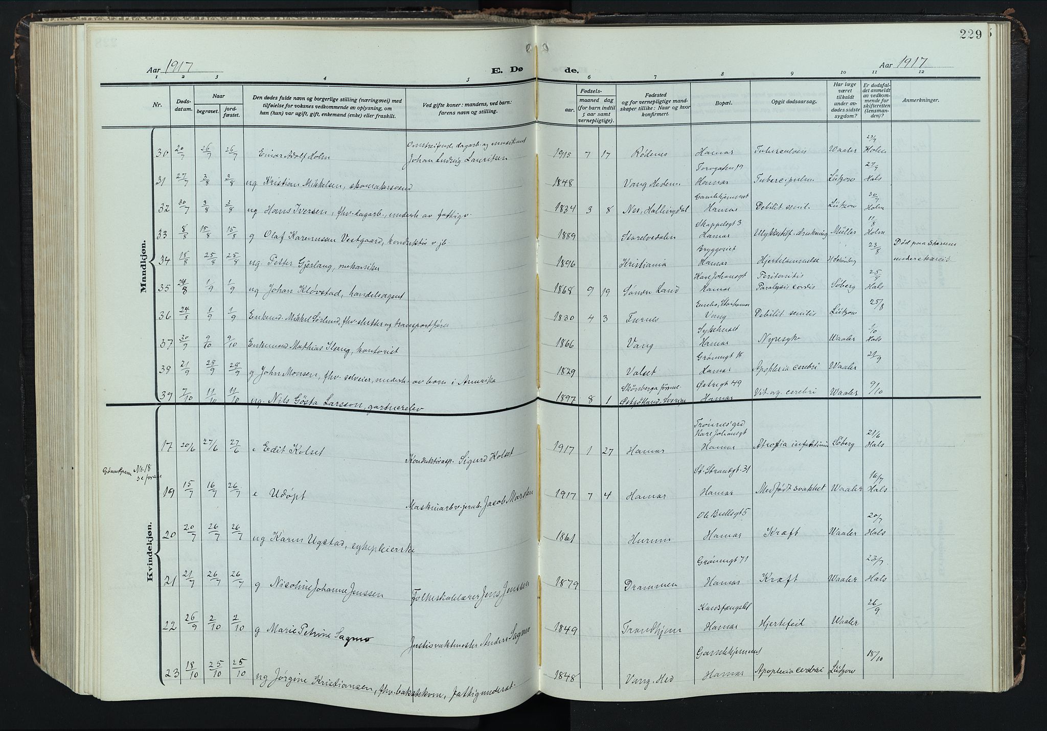 Hamar prestekontor, AV/SAH-DOMPH-002/H/Ha/Hab/L0004: Parish register (copy) no. 4, 1915-1942, p. 229