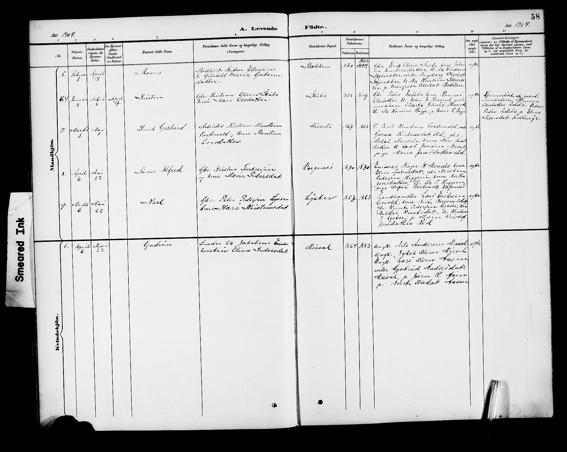 Ministerialprotokoller, klokkerbøker og fødselsregistre - Møre og Romsdal, AV/SAT-A-1454/551/L0632: Parish register (copy) no. 551C04, 1894-1920, p. 58