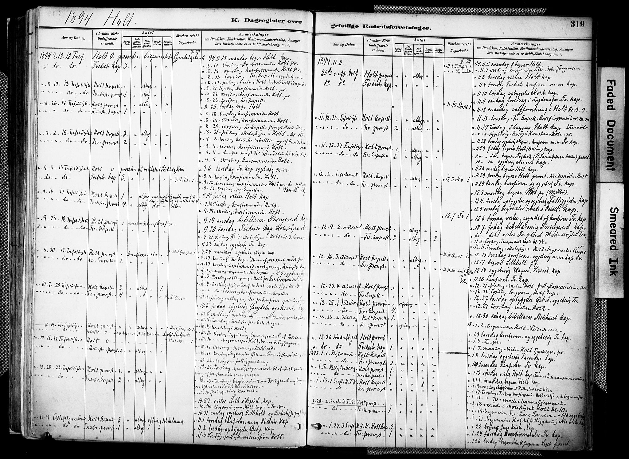 Holt sokneprestkontor, AV/SAK-1111-0021/F/Fa/L0012: Parish register (official) no. A 12, 1885-1907, p. 319