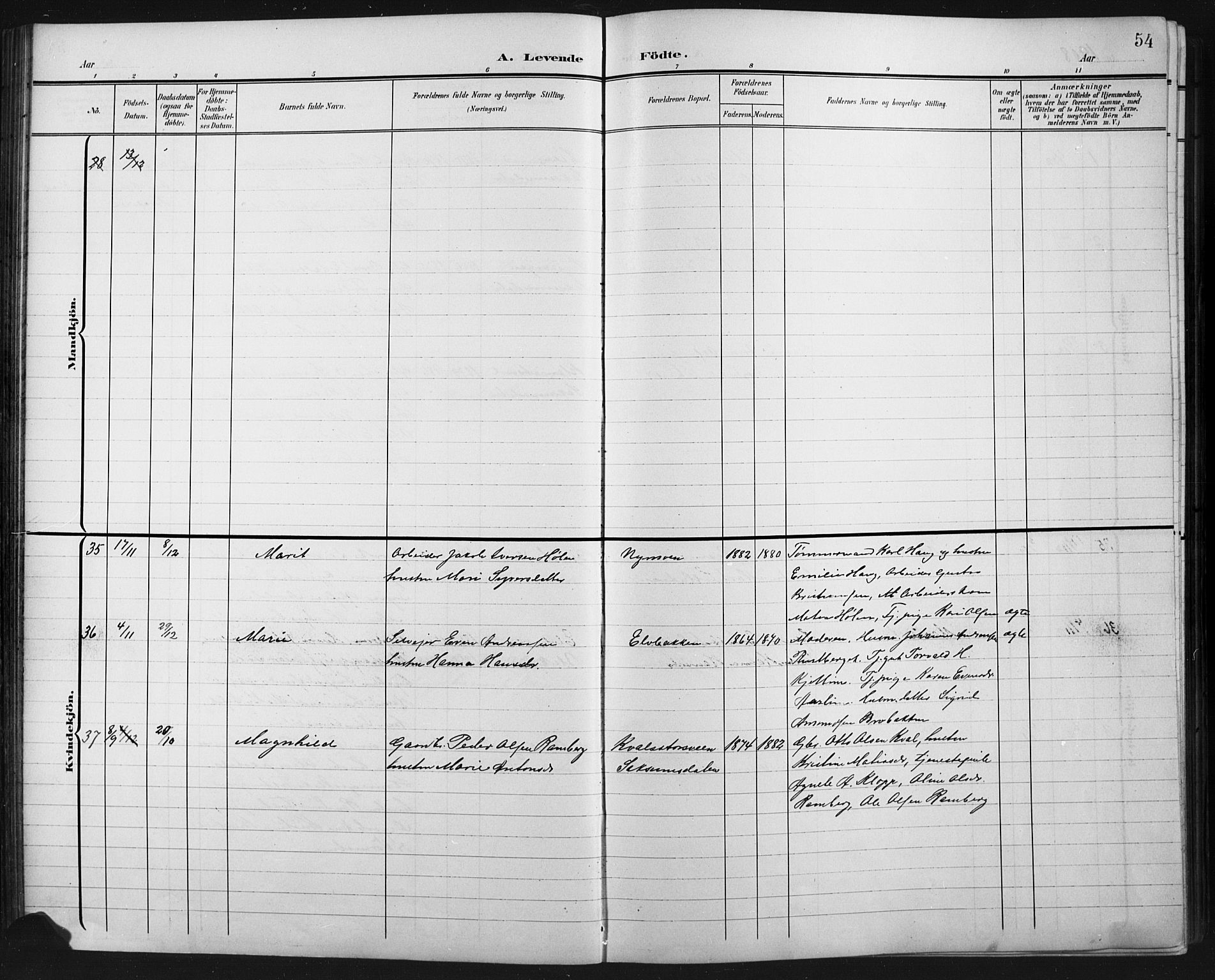 Fåberg prestekontor, SAH/PREST-086/H/Ha/Hab/L0011: Parish register (copy) no. 11, 1901-1921, p. 54