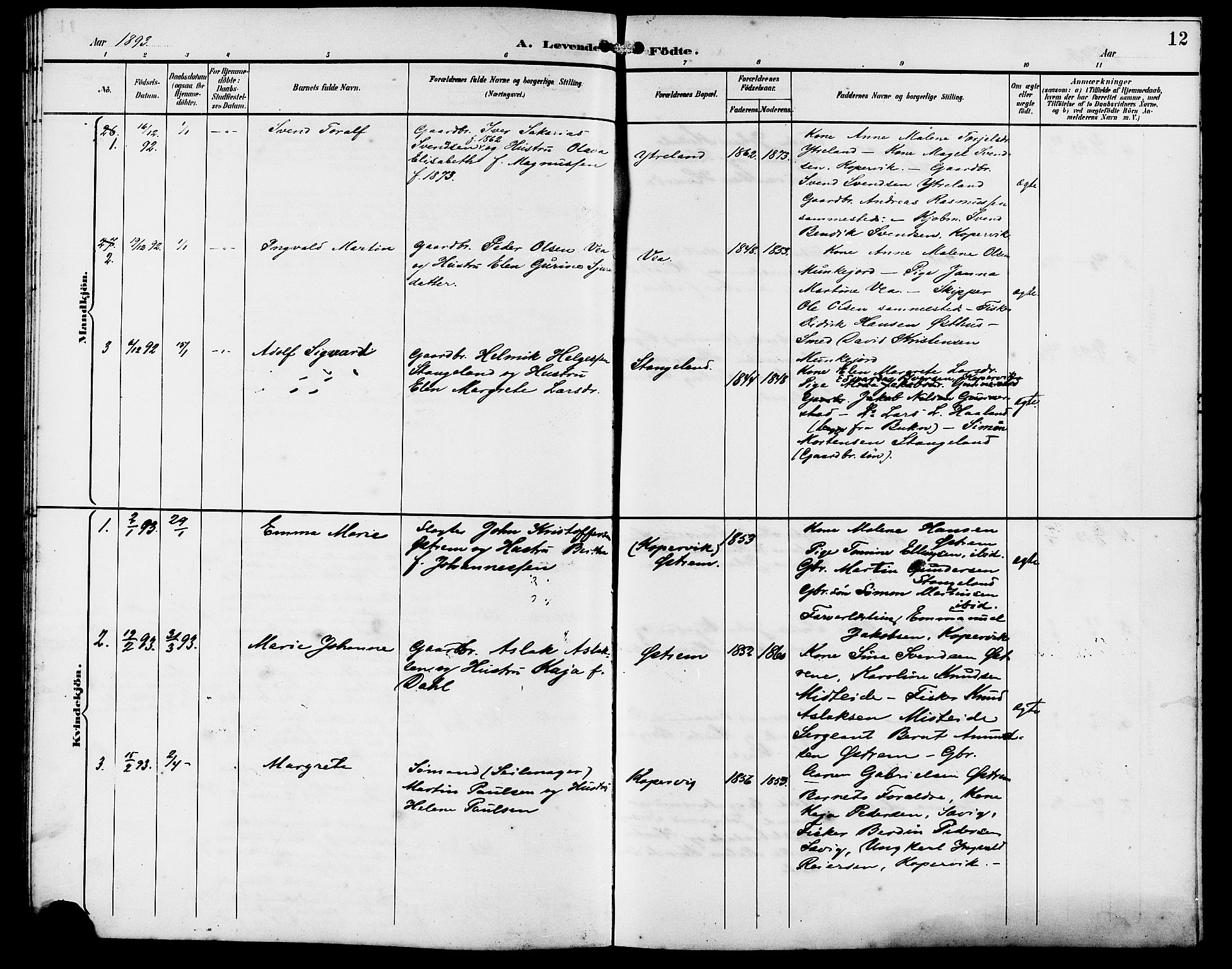 Kopervik sokneprestkontor, AV/SAST-A-101850/H/Ha/Hab/L0003: Parish register (copy) no. B 3, 1891-1909, p. 12