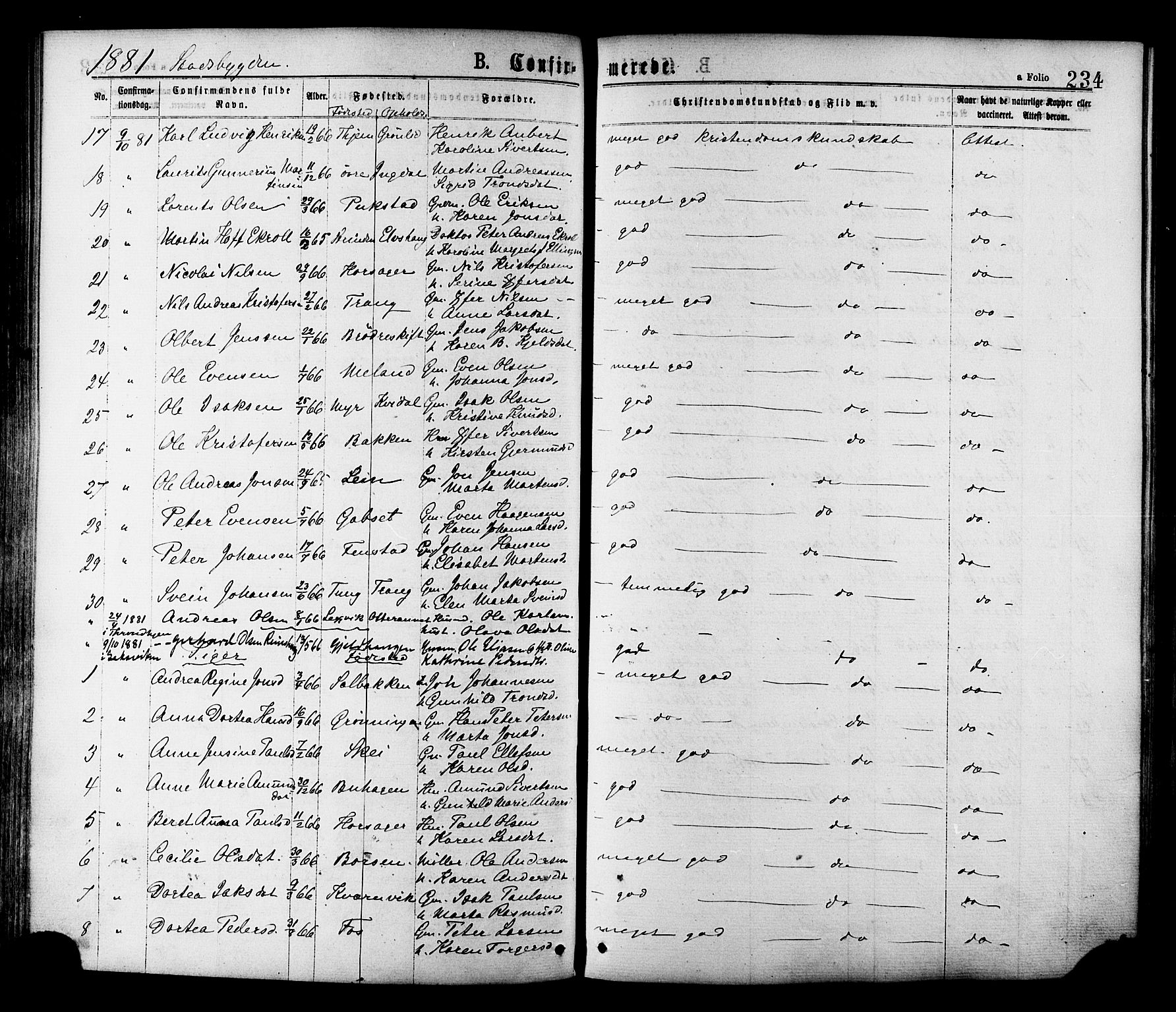 Ministerialprotokoller, klokkerbøker og fødselsregistre - Sør-Trøndelag, AV/SAT-A-1456/646/L0613: Parish register (official) no. 646A11, 1870-1884, p. 234