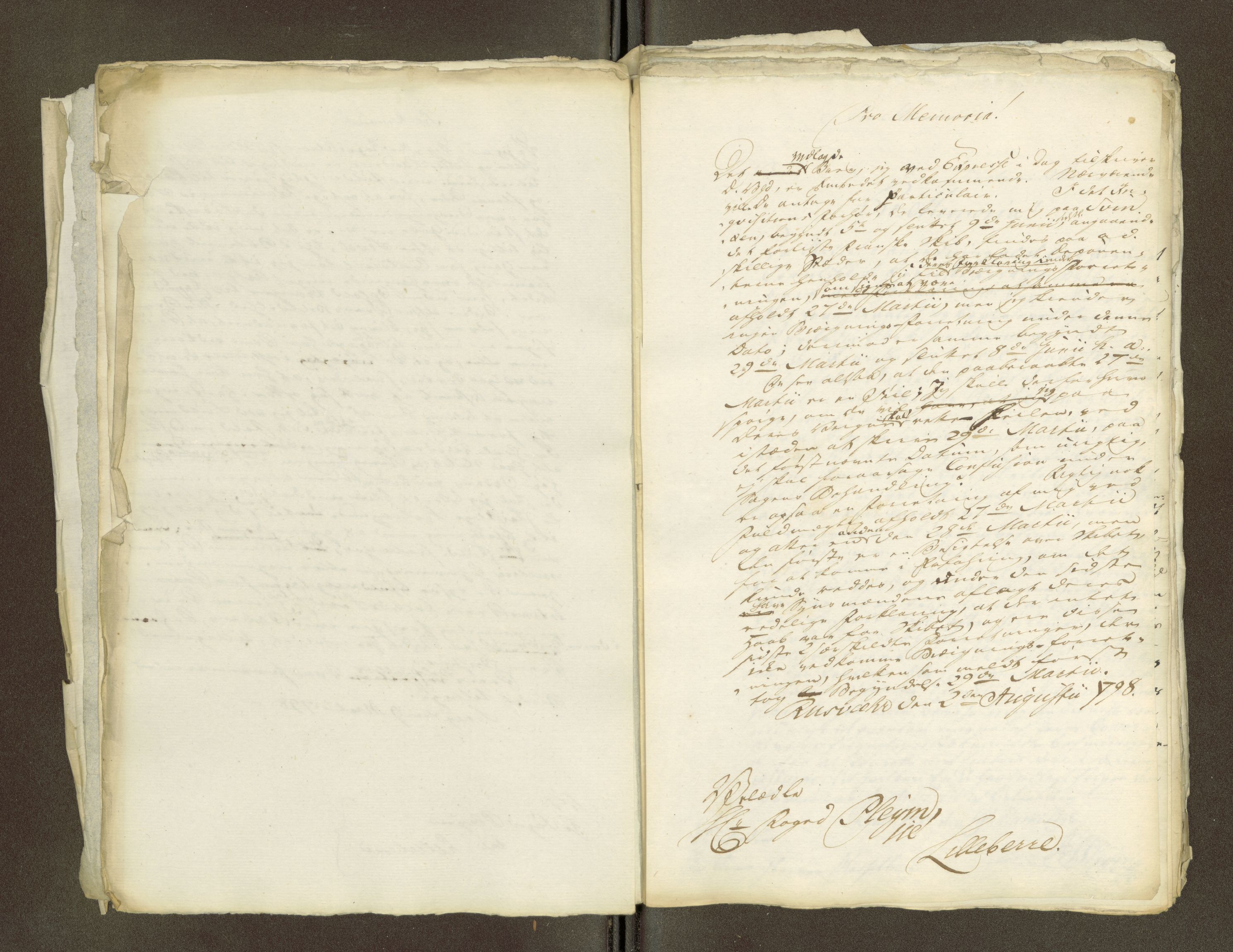 Namdal sorenskriveri, AV/SAT-A-4133/1/1/1O/1Oa/L0007: Sivile og offentlige saker, 1798, p. 222