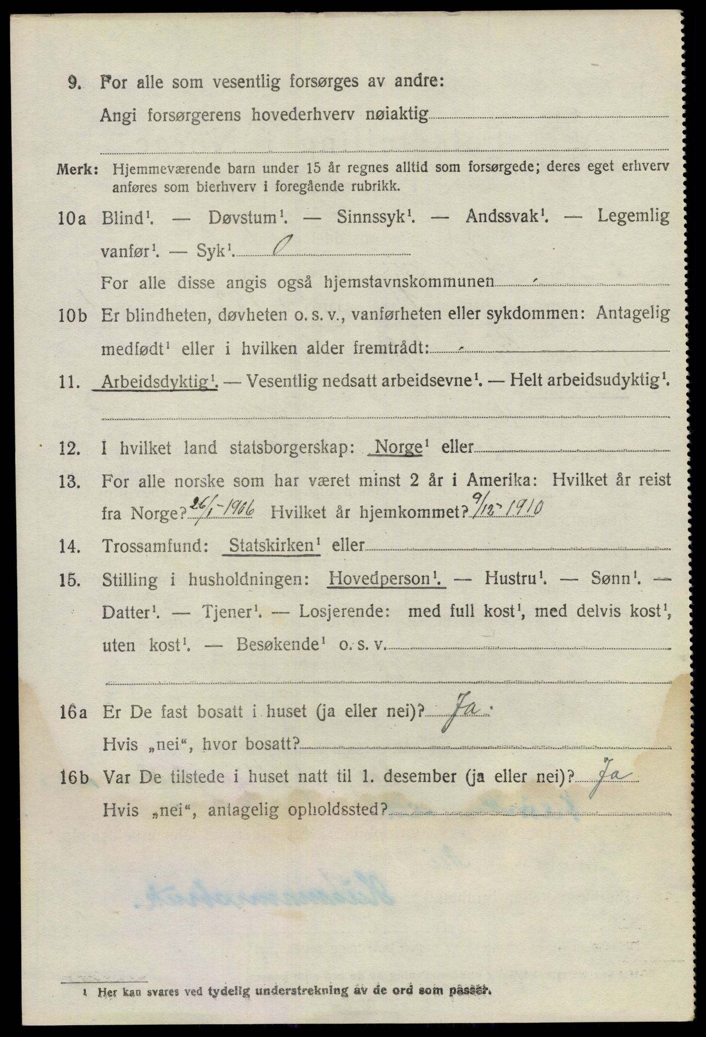 SAO, 1920 census for Nes, 1920, p. 6291