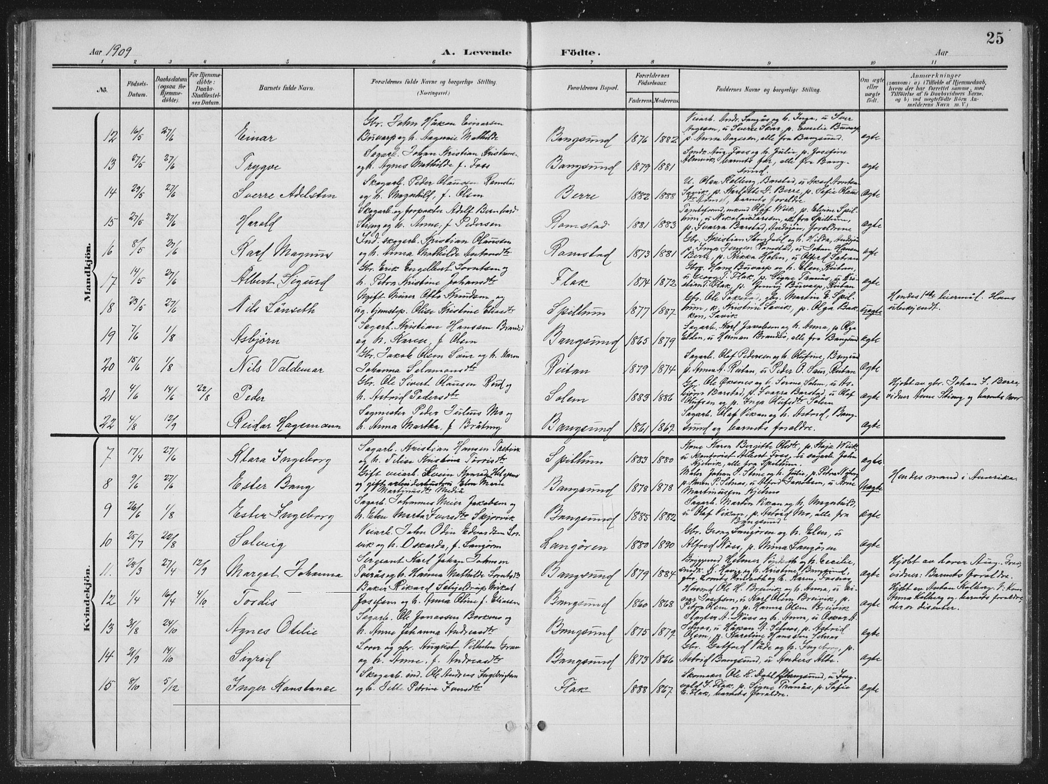 Ministerialprotokoller, klokkerbøker og fødselsregistre - Nord-Trøndelag, SAT/A-1458/770/L0591: Parish register (copy) no. 770C02, 1902-1940, p. 25